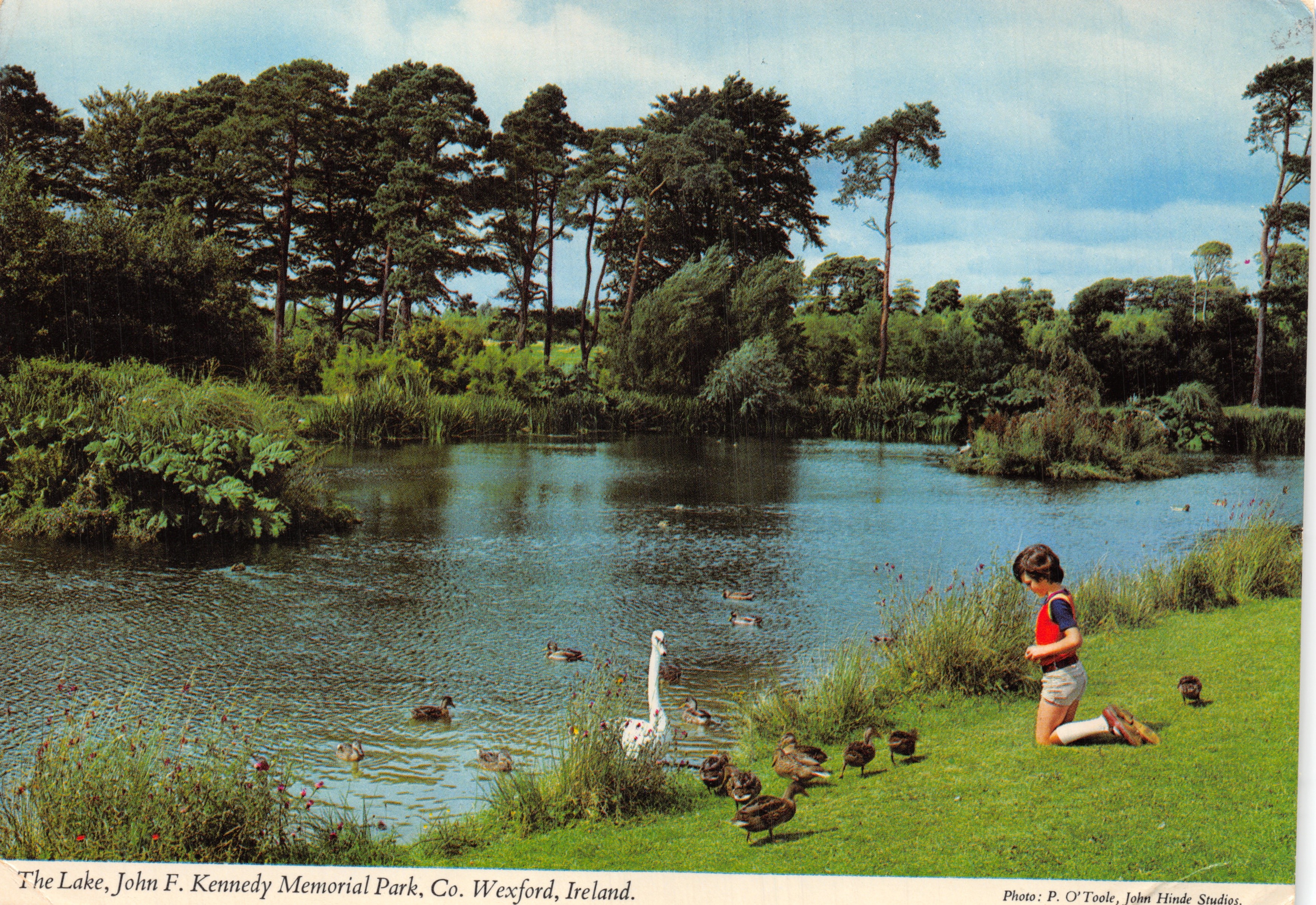 Le Lac, parc commémoratif John F. Kennedy — Co. Wexford, Irlande. Photo P. O'Toole, John Hinde Studios