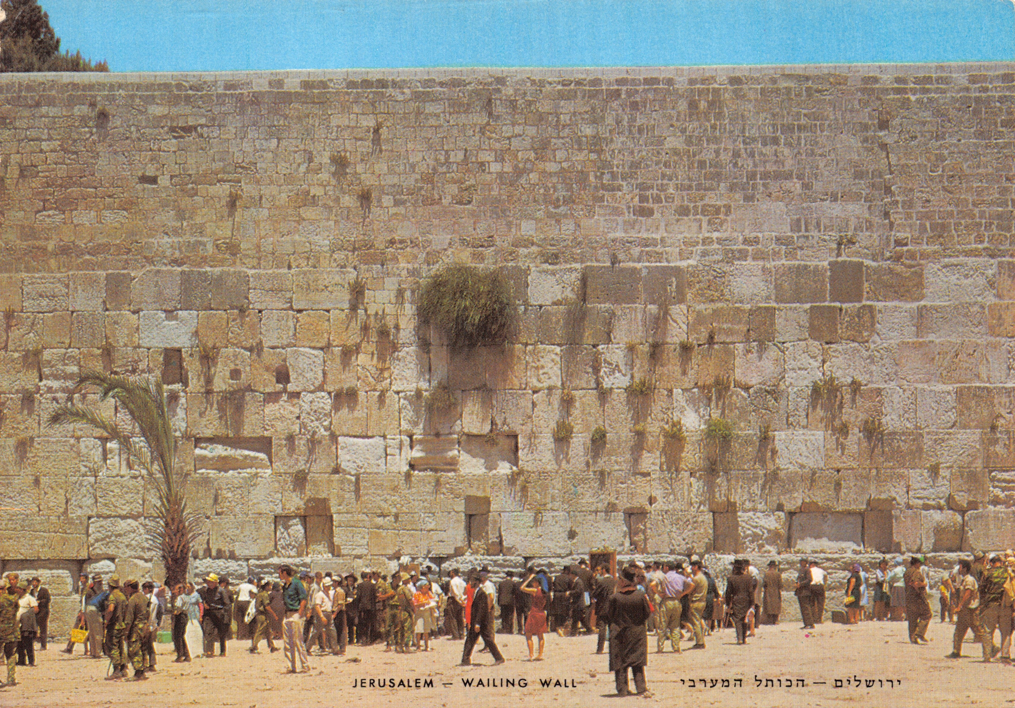 Jerusalems — Muur van de Lamentaties — uitgever PALPHOT, n°8193