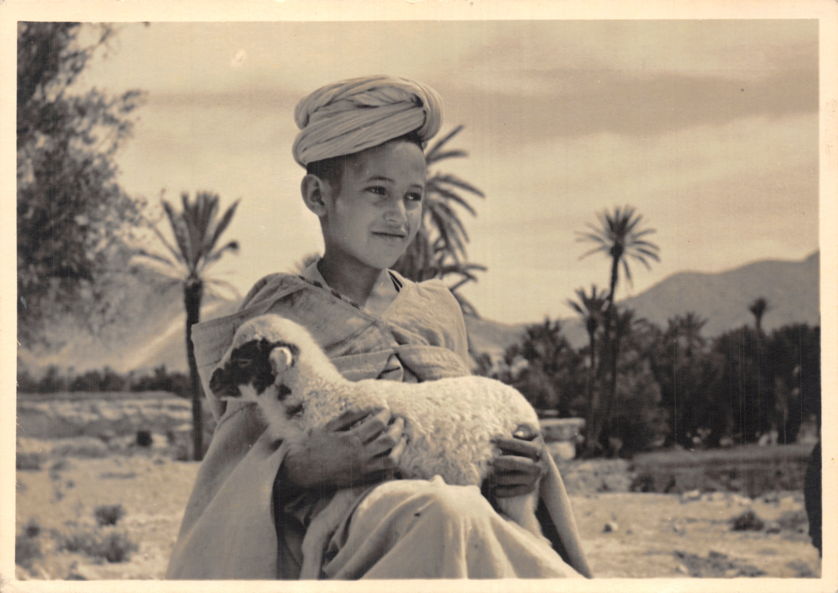 Jeune berger avec agneau — paysage désertique avec palmiers et montagnes — éditeur LE MAROC ARTISTIQUE, n° 661