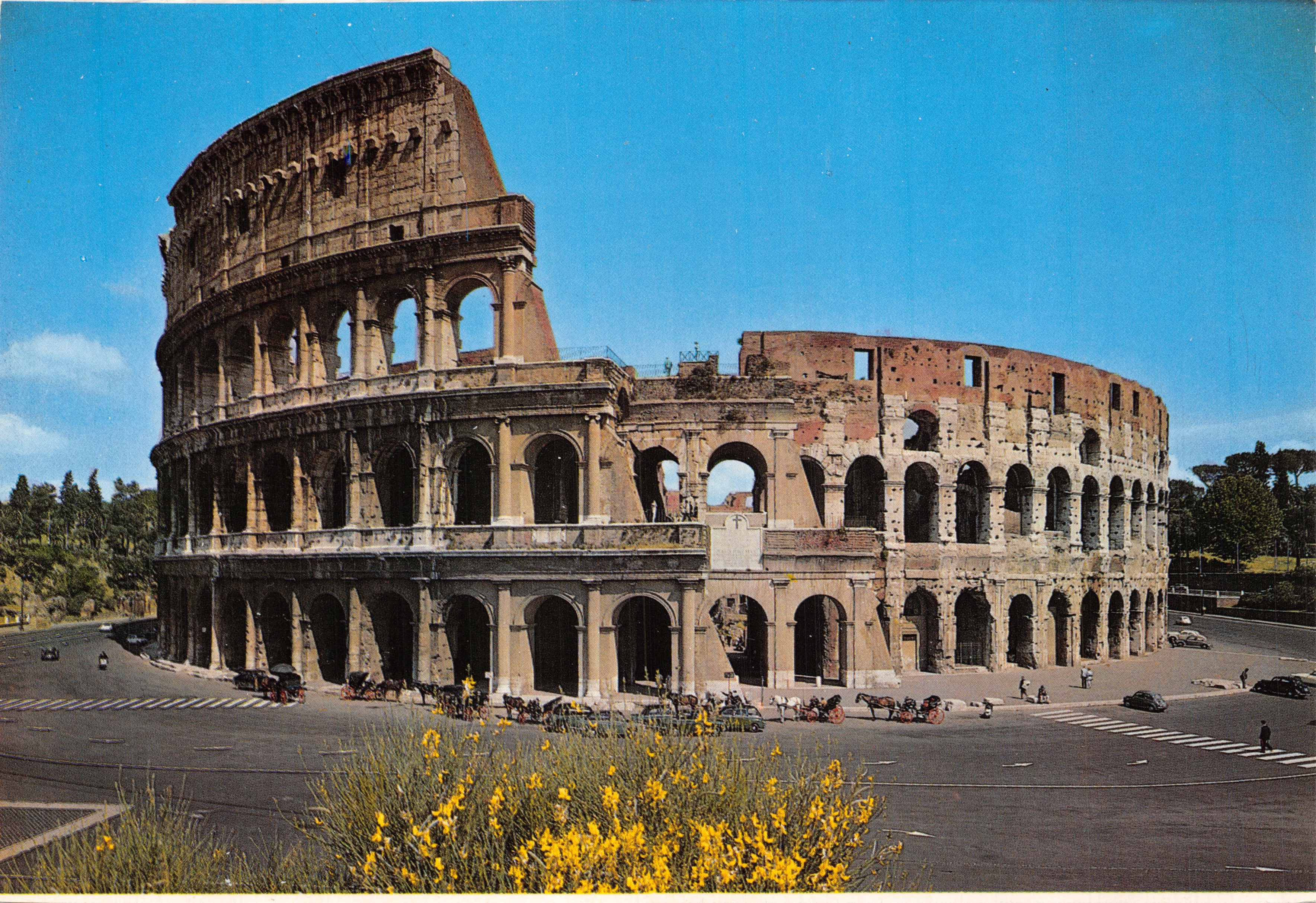 Colisée de Rome — vue extérieure avec voitures et fleurs jaunes — éditeur non visible