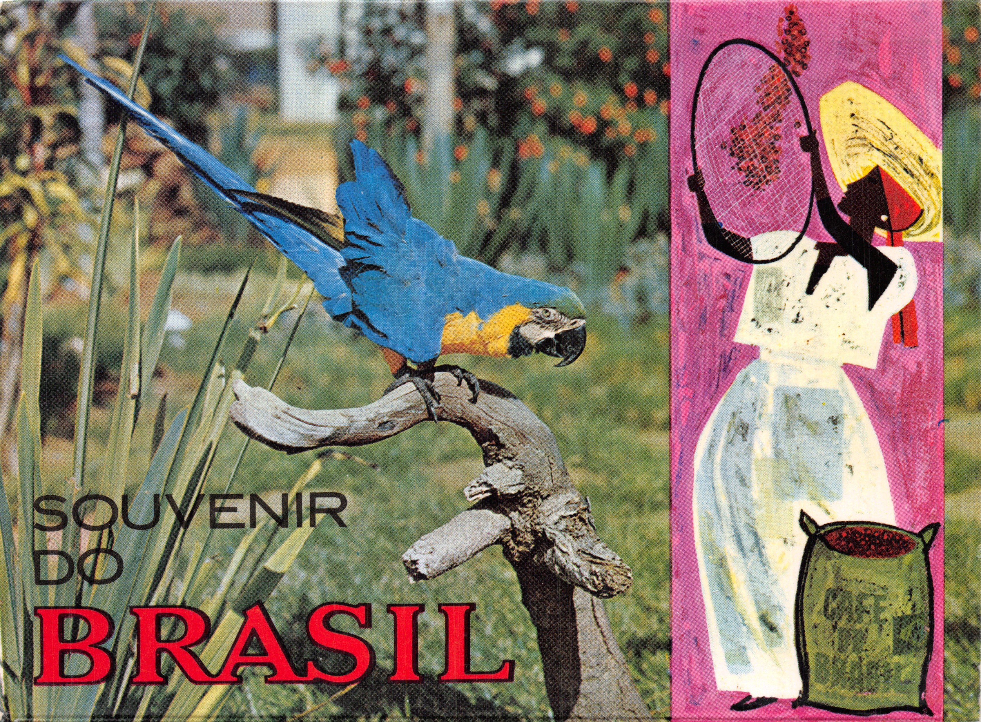 Recuerdo de Brasil — ilustración de un loro y una recolectora de café — editor no visible