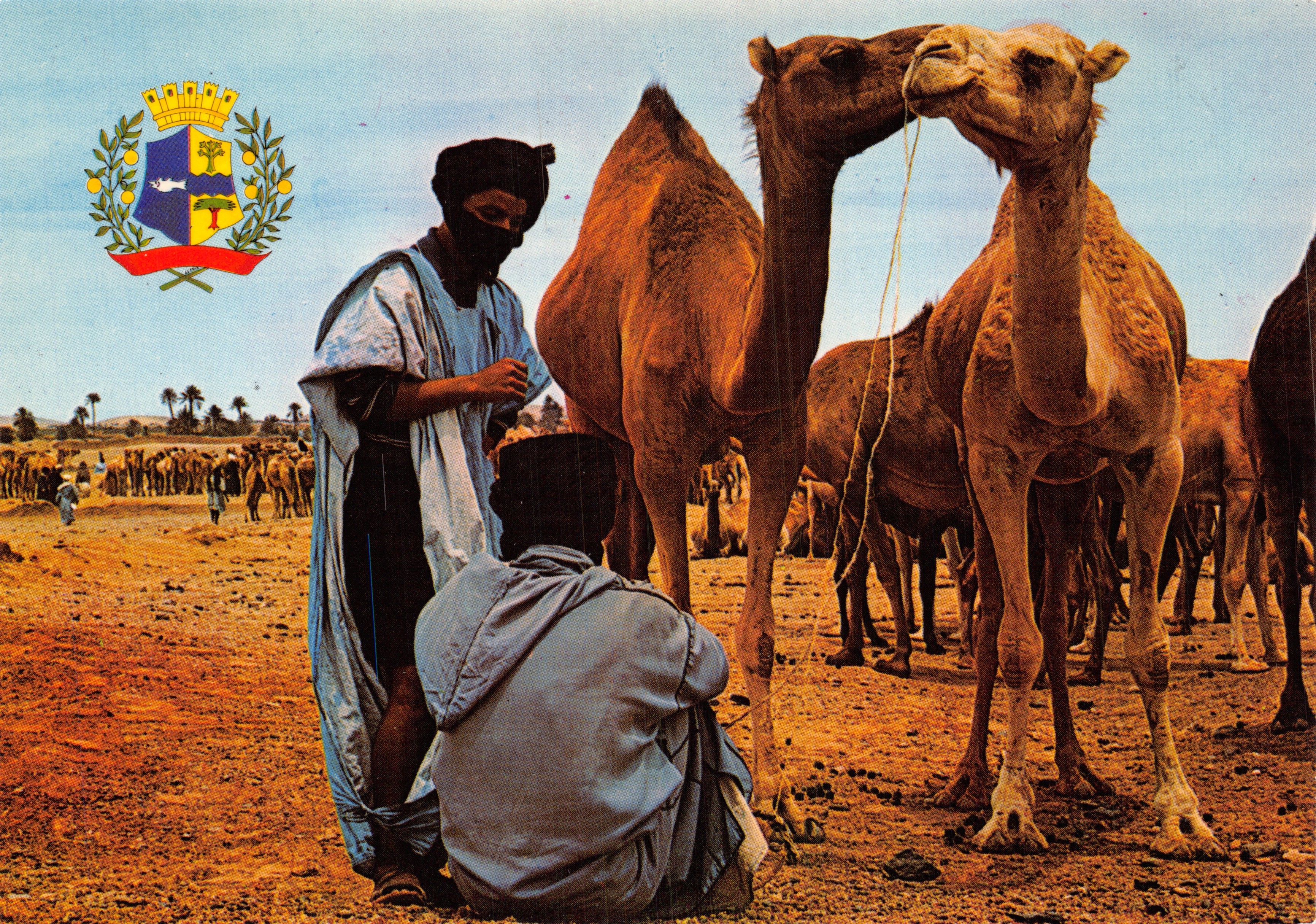 Kamelenmarkt — Asir bij Goulimine — uitgever JEFF