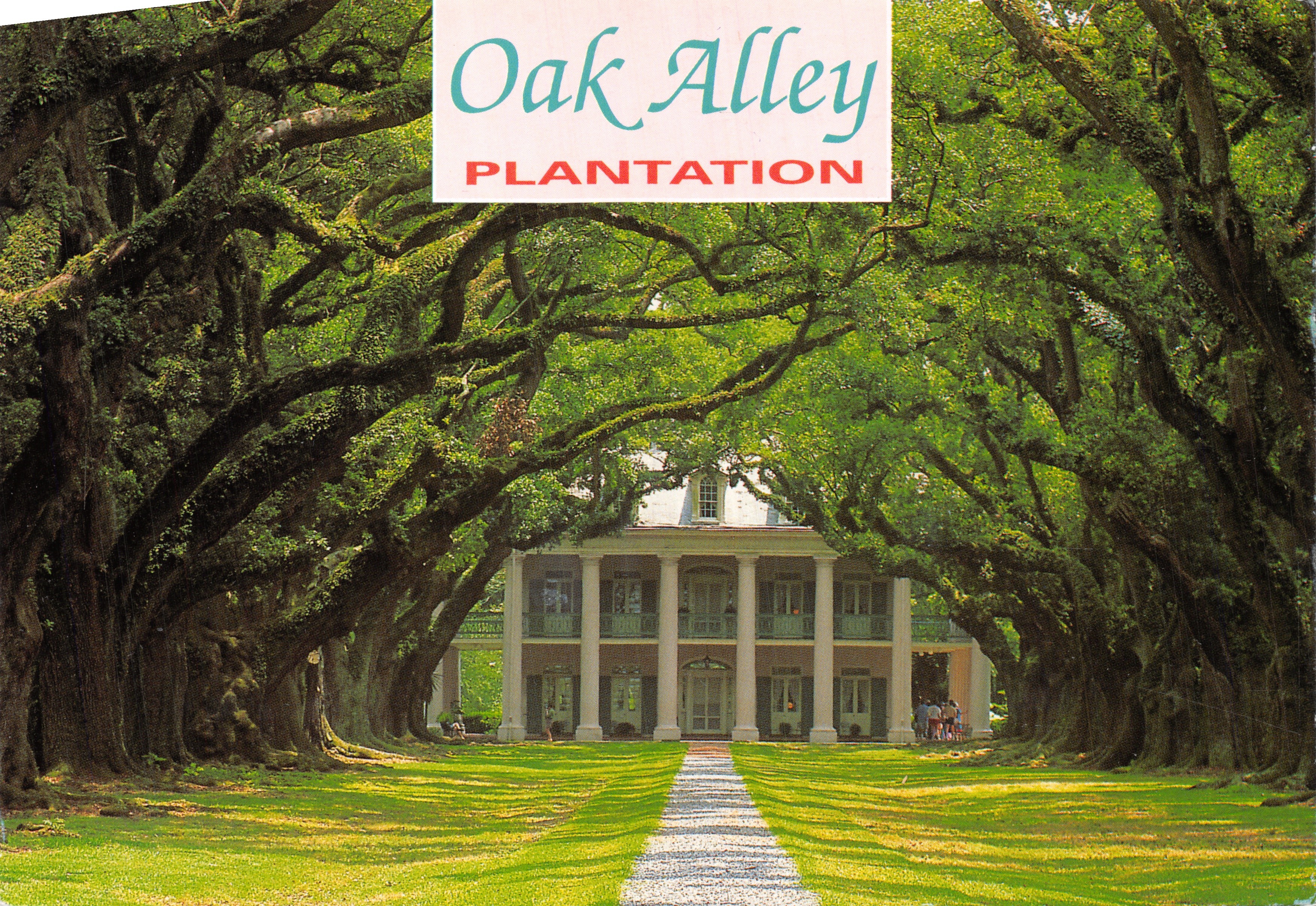Oak Alley — plantation sous allée d'arbres centenaires — éditeur Published and Distributed by Kina Italy