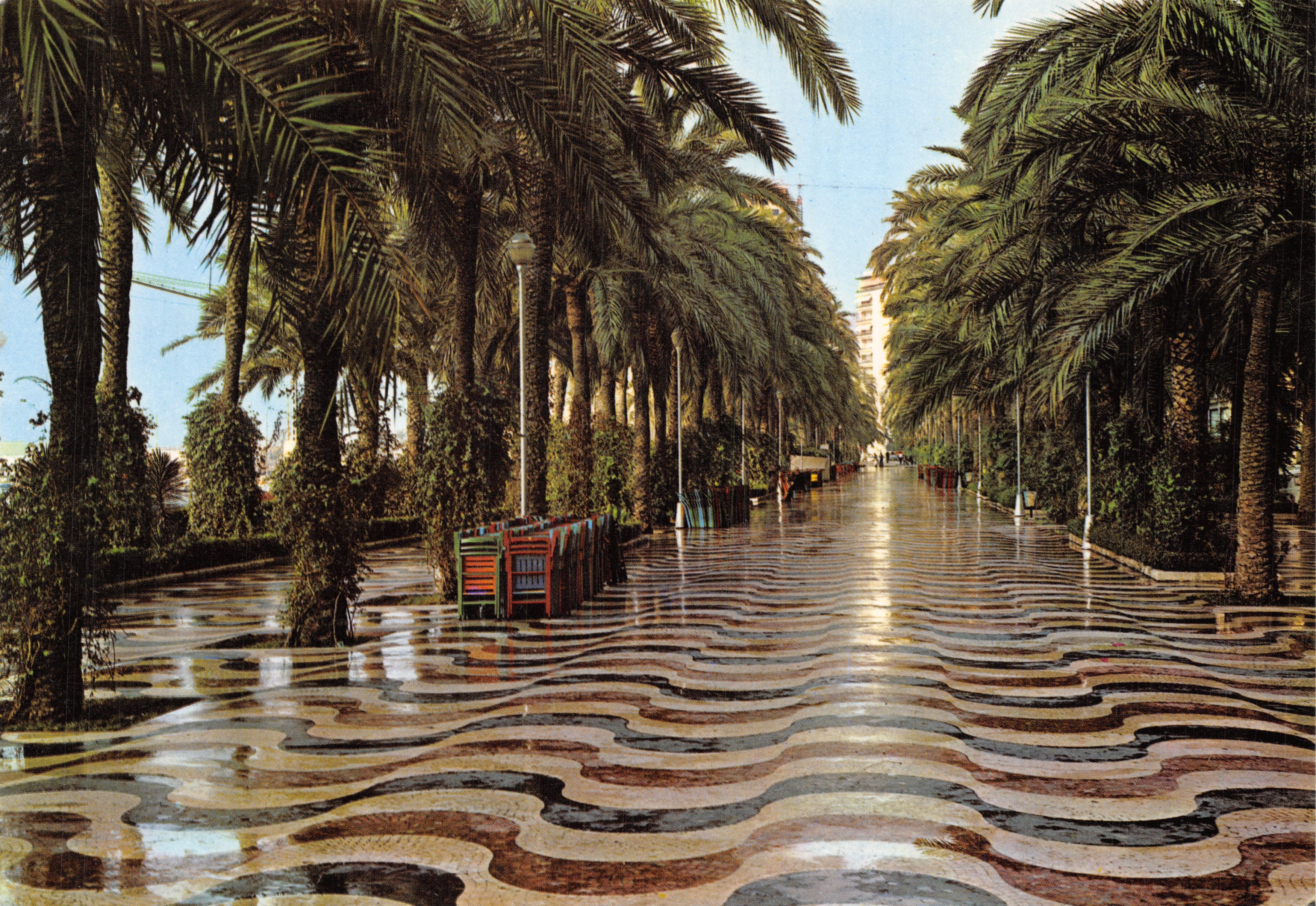 Alicante — Promenade bordée de palmiers et pavé ondulé — éditeur Callosa de Ensarria