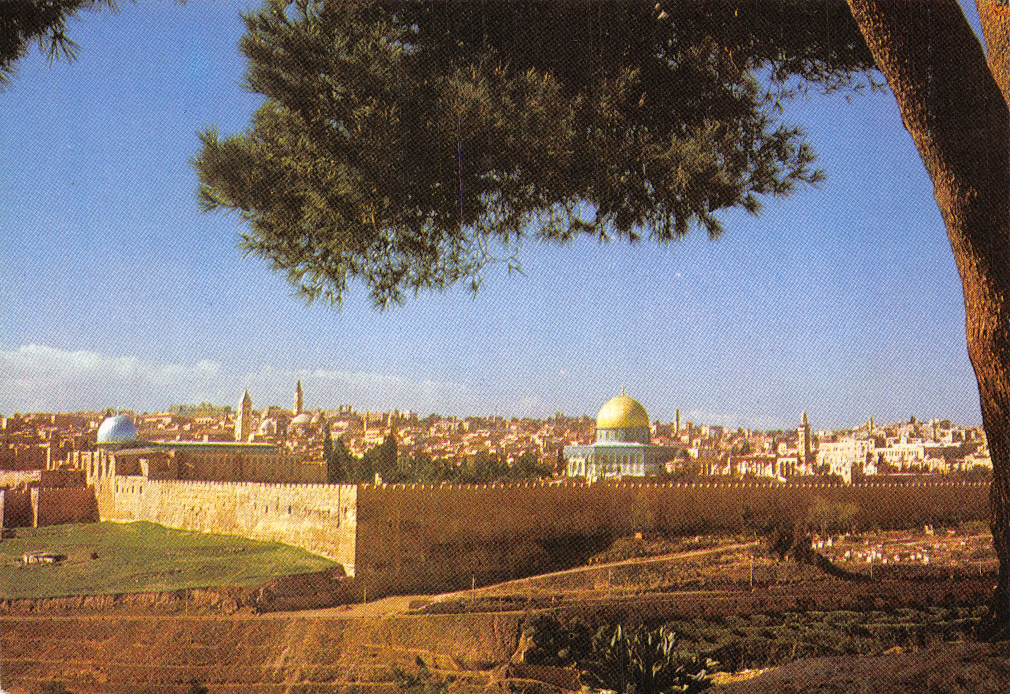 Gerusalemme, Area del Tempio — muro orientale visto dal Monte degli Ulivi — editore Palphot Ltd. n. 9281