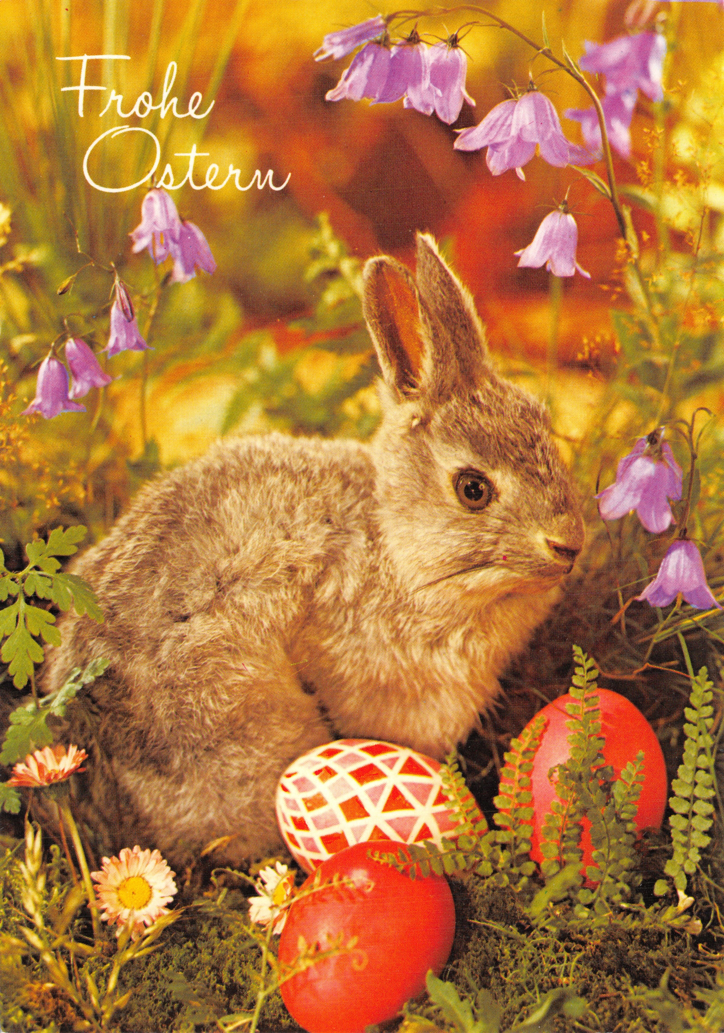 Conejo y huevos de Pascua — Escena primaveral con campanas — Oppacher Verlag GmbH, Múnich 70, n.º 13-3004