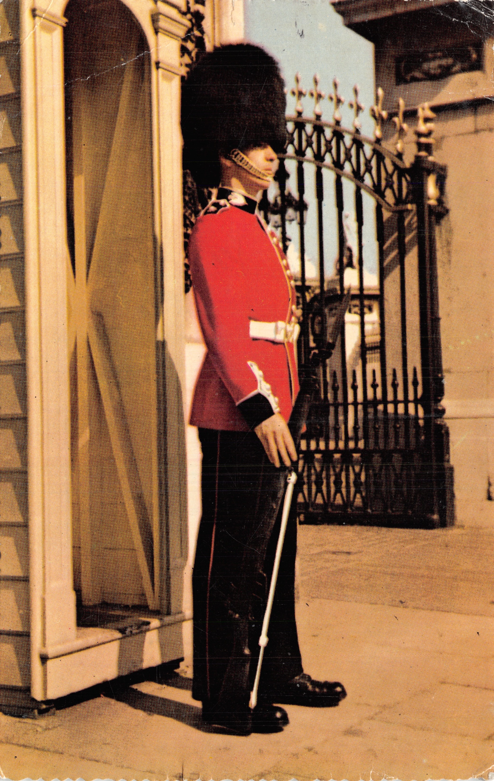 Guardian of the Guard — Buckingham Palace — The Photographic Greeting Card Co. Ltd. London