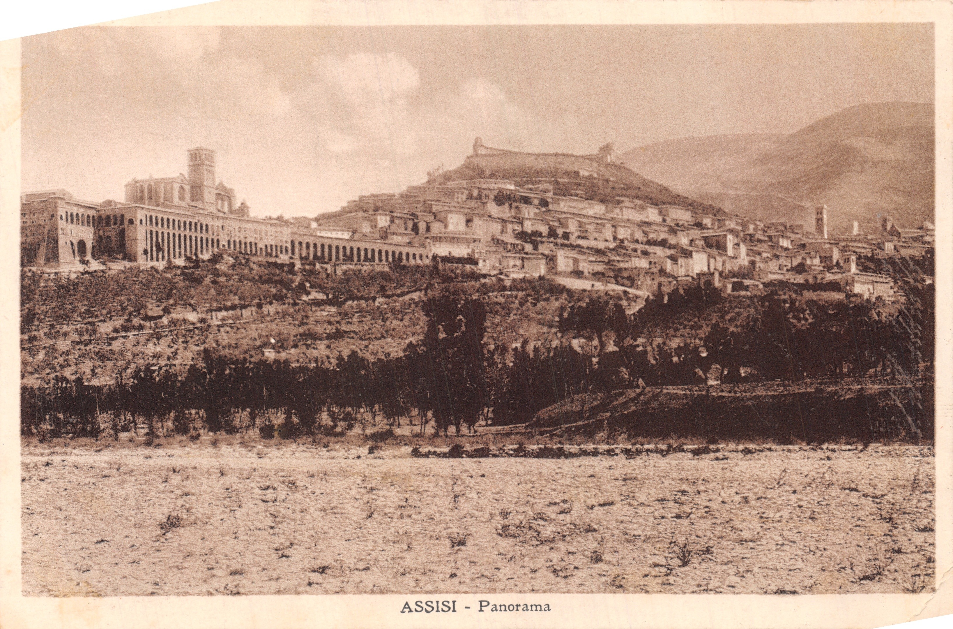 Assisi — Panorama — éditeur Ediz. Ditta L. Vignati - Assisi, n° 13651