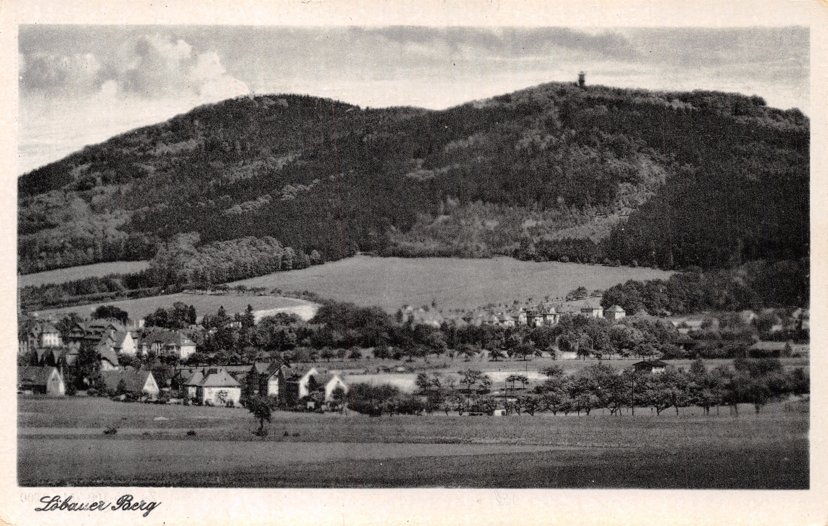 Löbauer Berg — panoramische weergave vanaf de top met verwoeste kasteel — uitgever Zittau Wagner, n° 14481