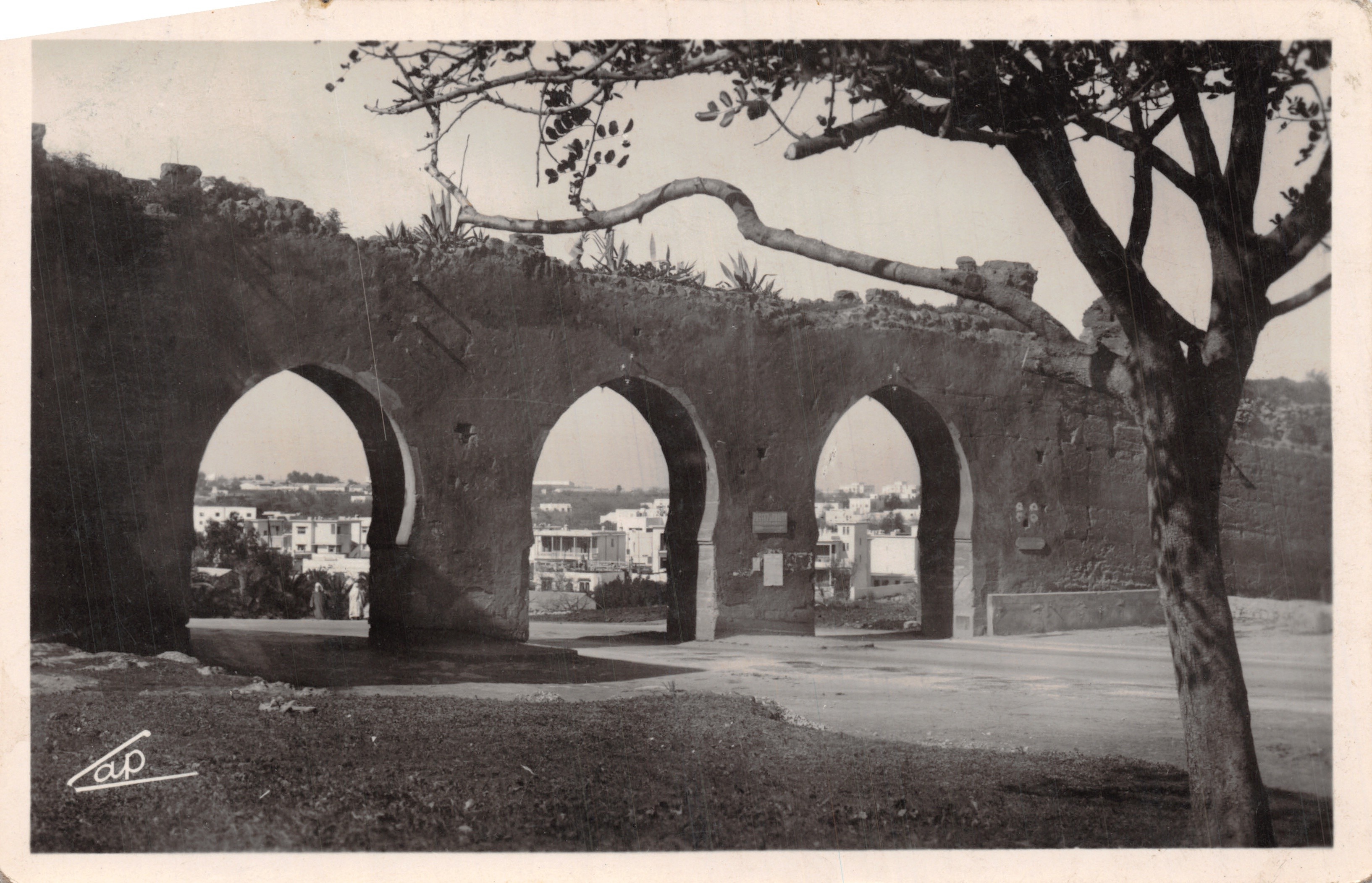 Rabat — Les Trois Portes — éditeur C.A.P. PARIS, n° 113
