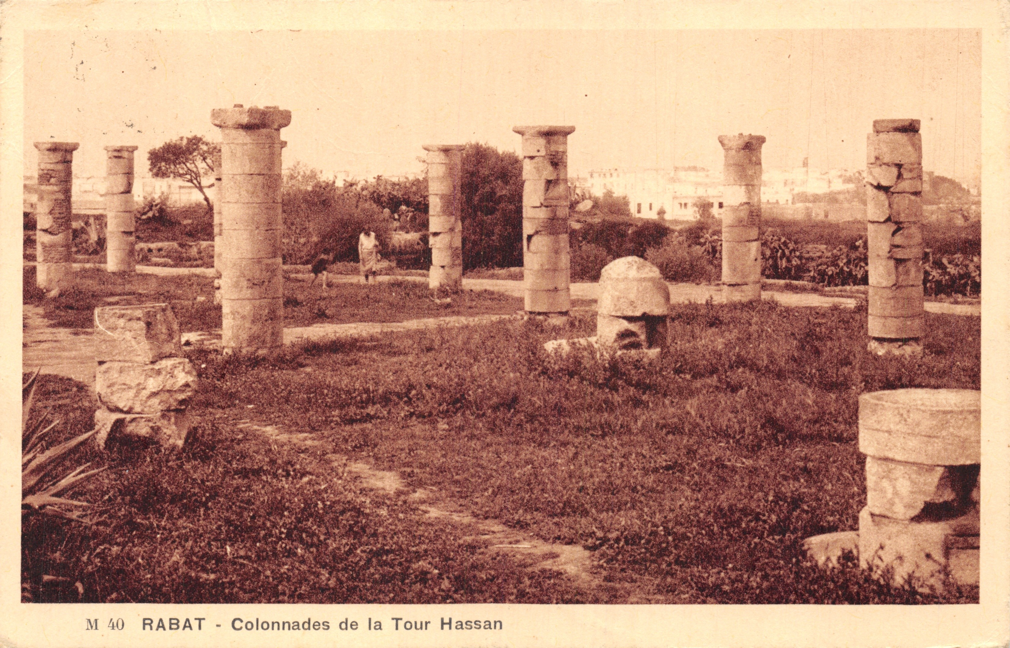 Rabat — Colonnades de la Tour Hassan — Imp. Braun & Cie, Rabat