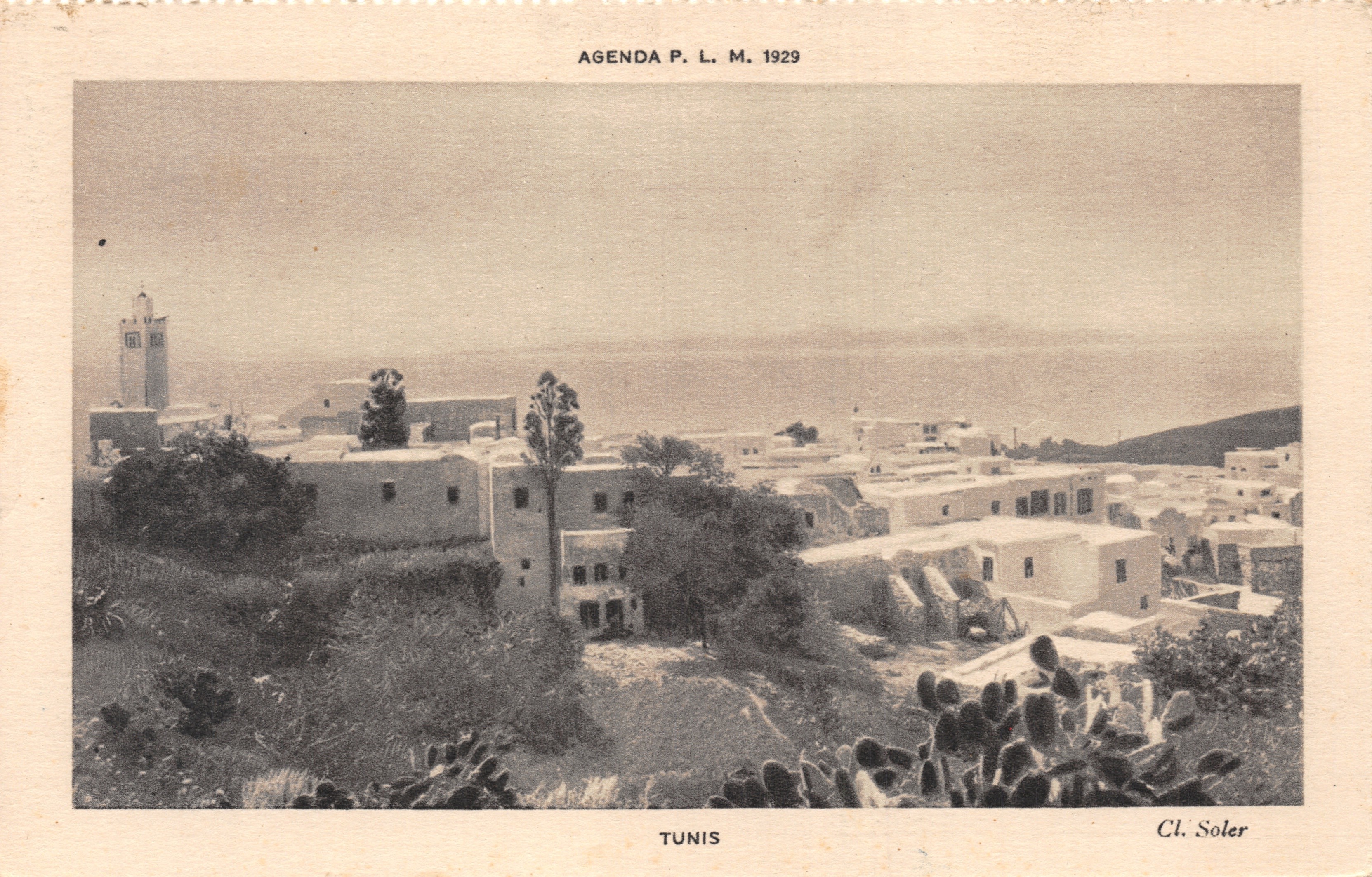 Tunis — panoramische weergave van de stad met minaret en cactus — uitgever Cl. Soler, serie-nummer AGENDA P. L. M. 1929