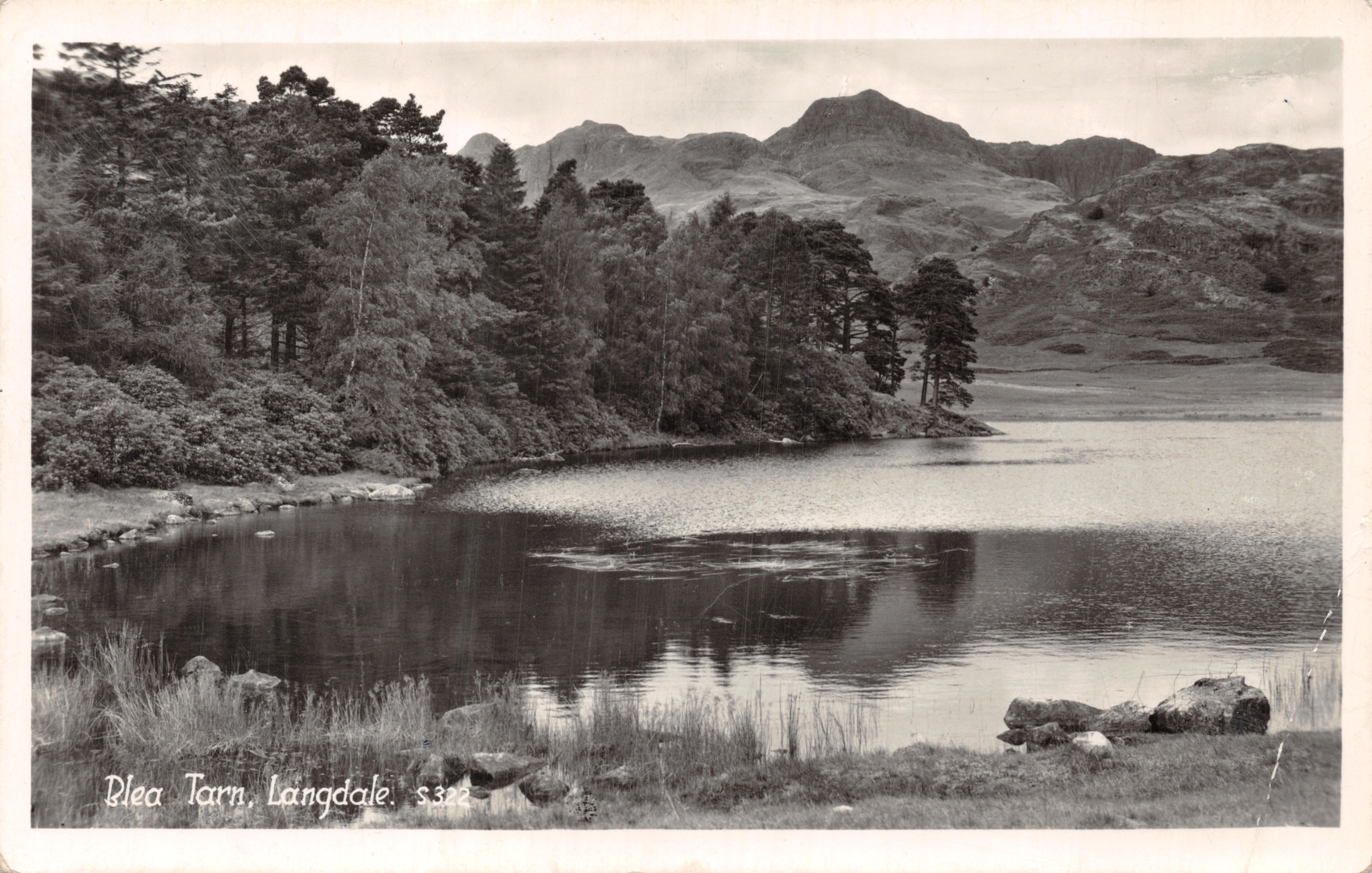 Rlea Tarn, Langdale — lago circondato da foreste e montagne — editore S.&D. Ambleside, n. S.322