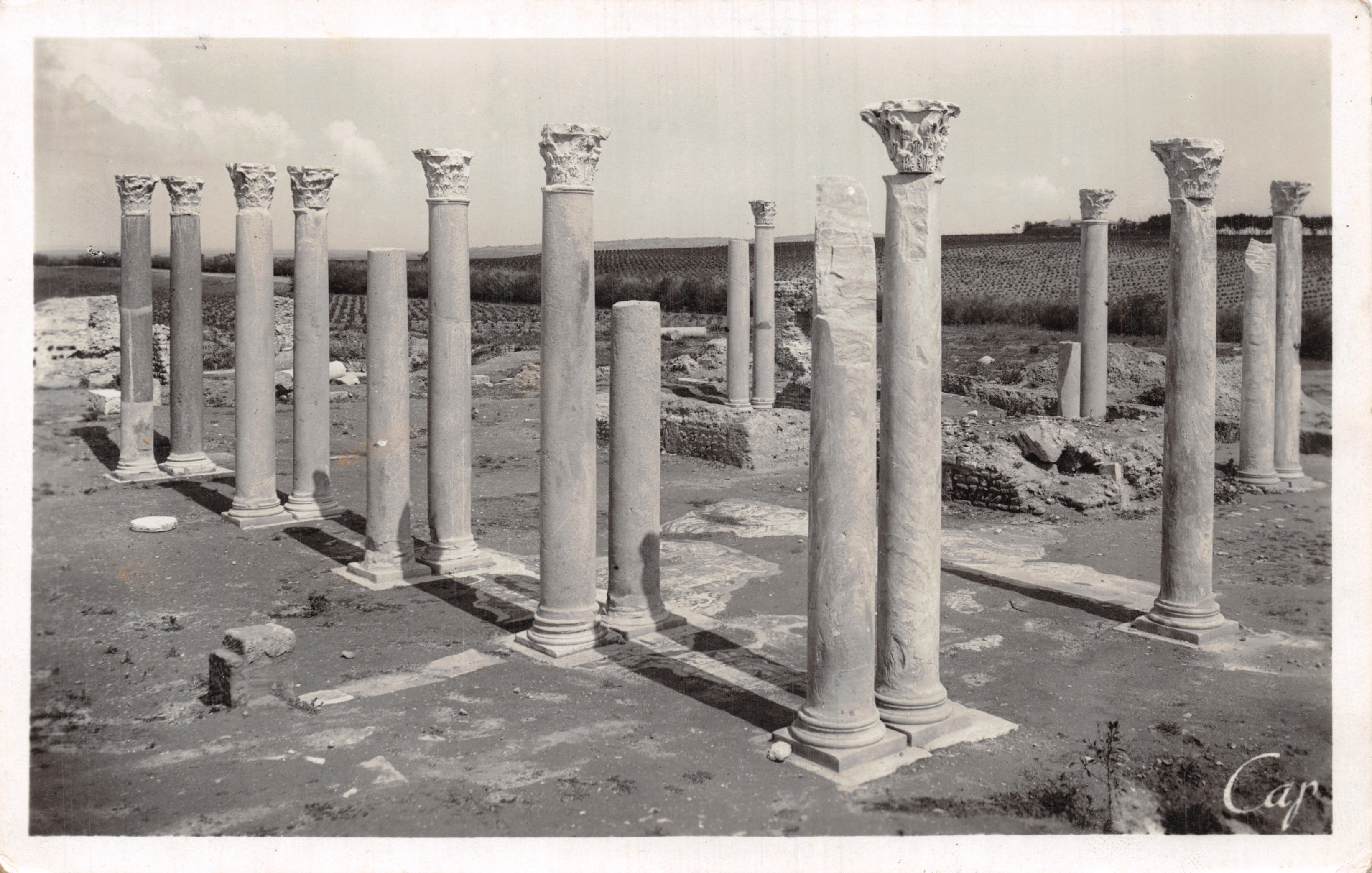 Les Colonnes (Ruines derrière le Carmel) — Carthage — Édition spéciale du Musée Lavigerie