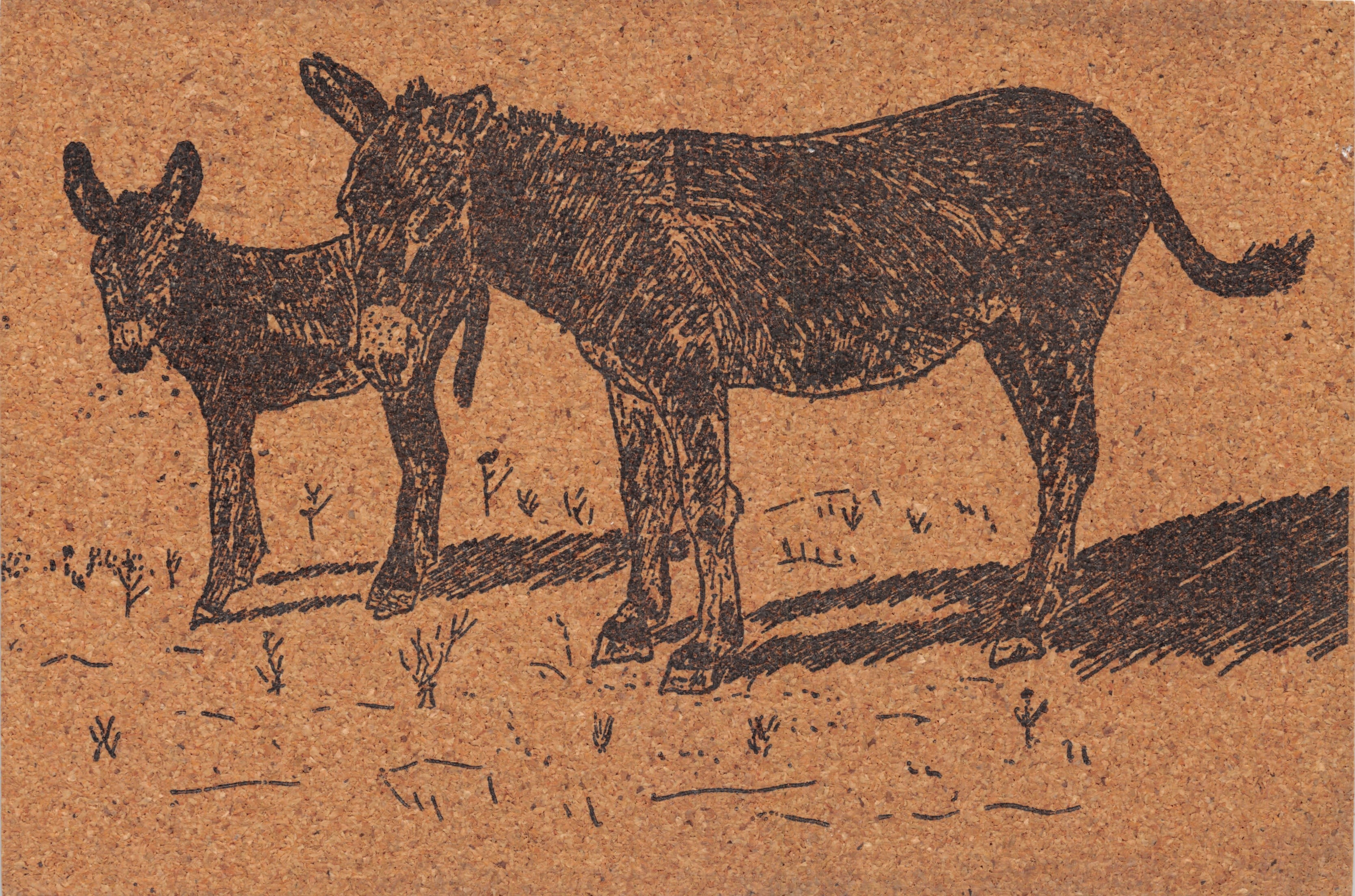 Deux ânes — illustration gravée — éditeur HACHETTE