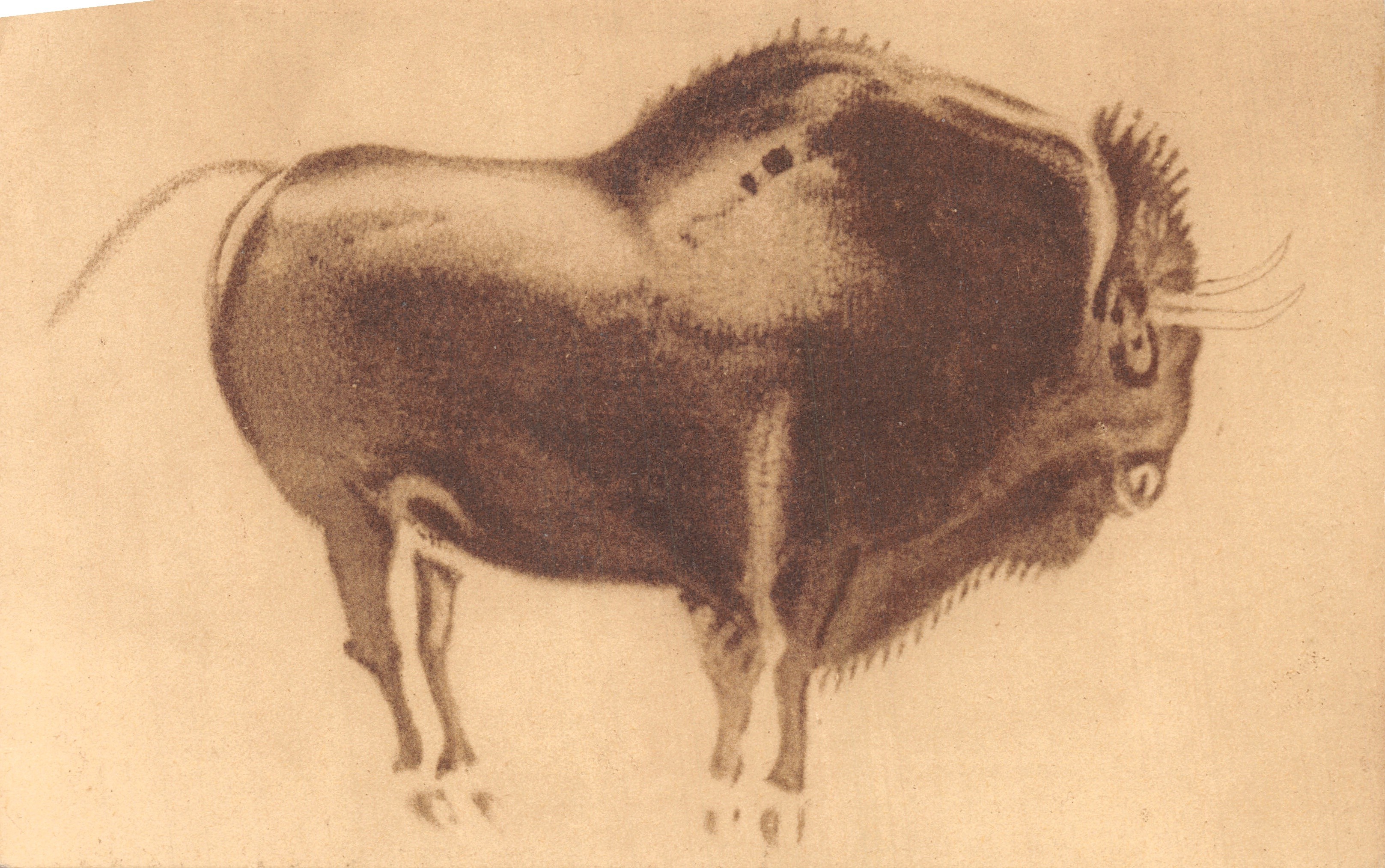 Bison — peinture murale préhistorique — cliché de M. l'abbé Breuil, Maison d'Art du Midi, Bruxelles