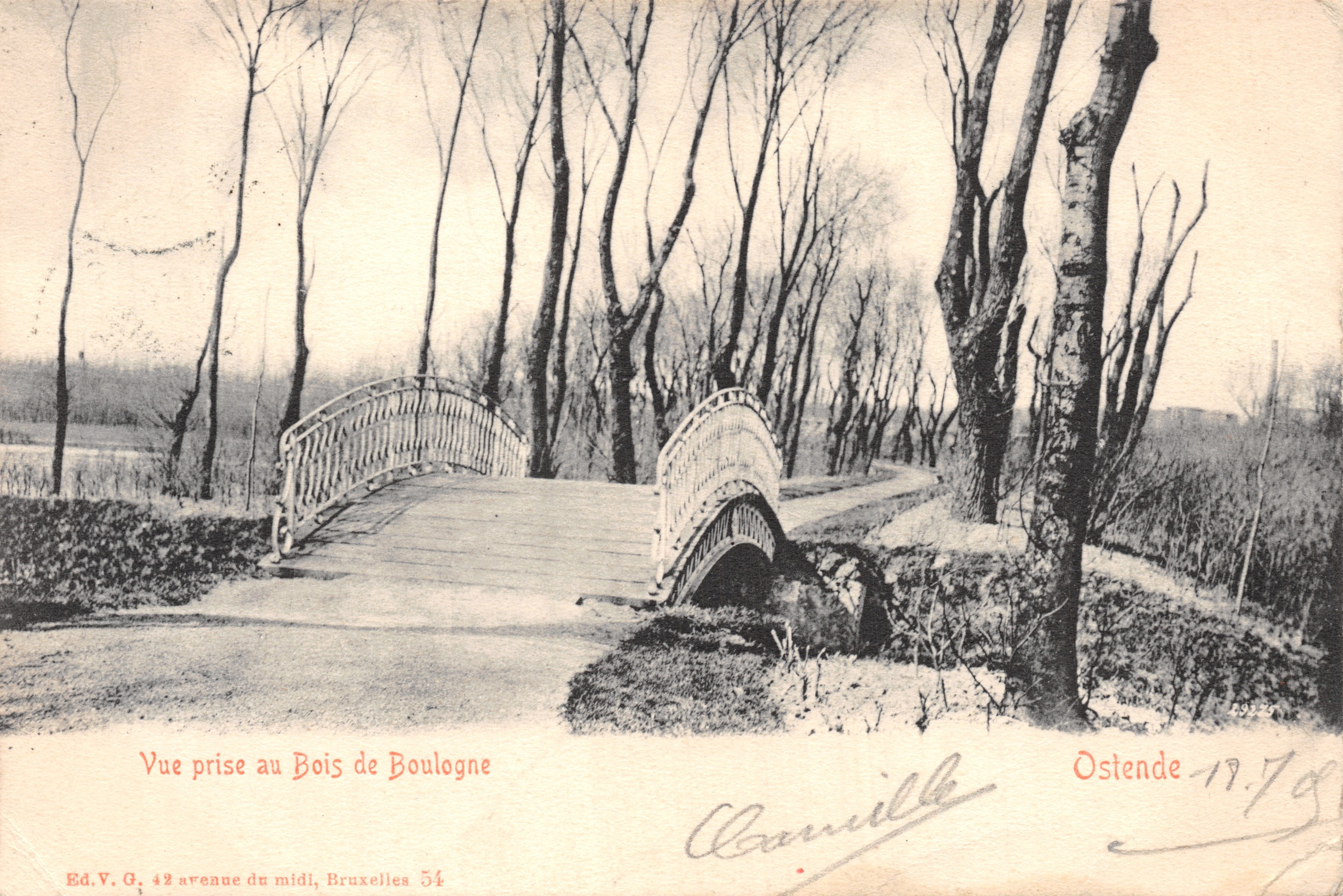 View taken in the Bois de Boulogne — wooden bridge and bare trees — Ed. V. G., Brussels 54