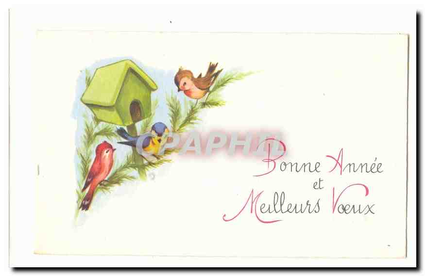 CPA Fantaisie Bonne annee et meilleurs voeux Oiseaux Birds
