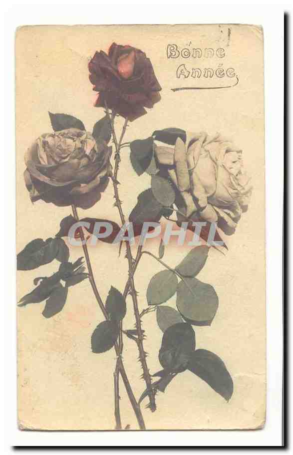 CPA Fantaisie Bonne annee (roses)