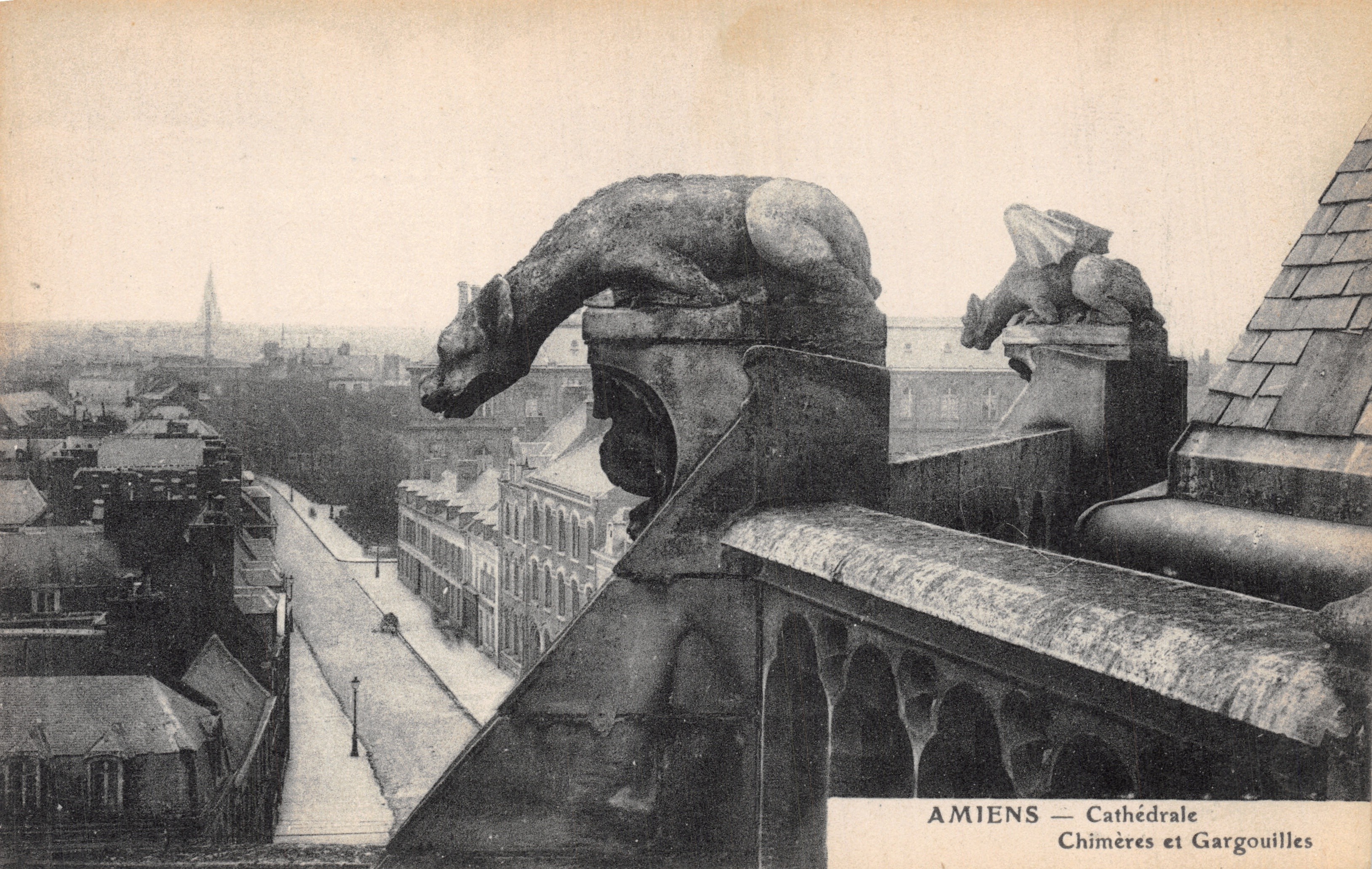Amiens — Cathedral — Chimeras and Gargoyles