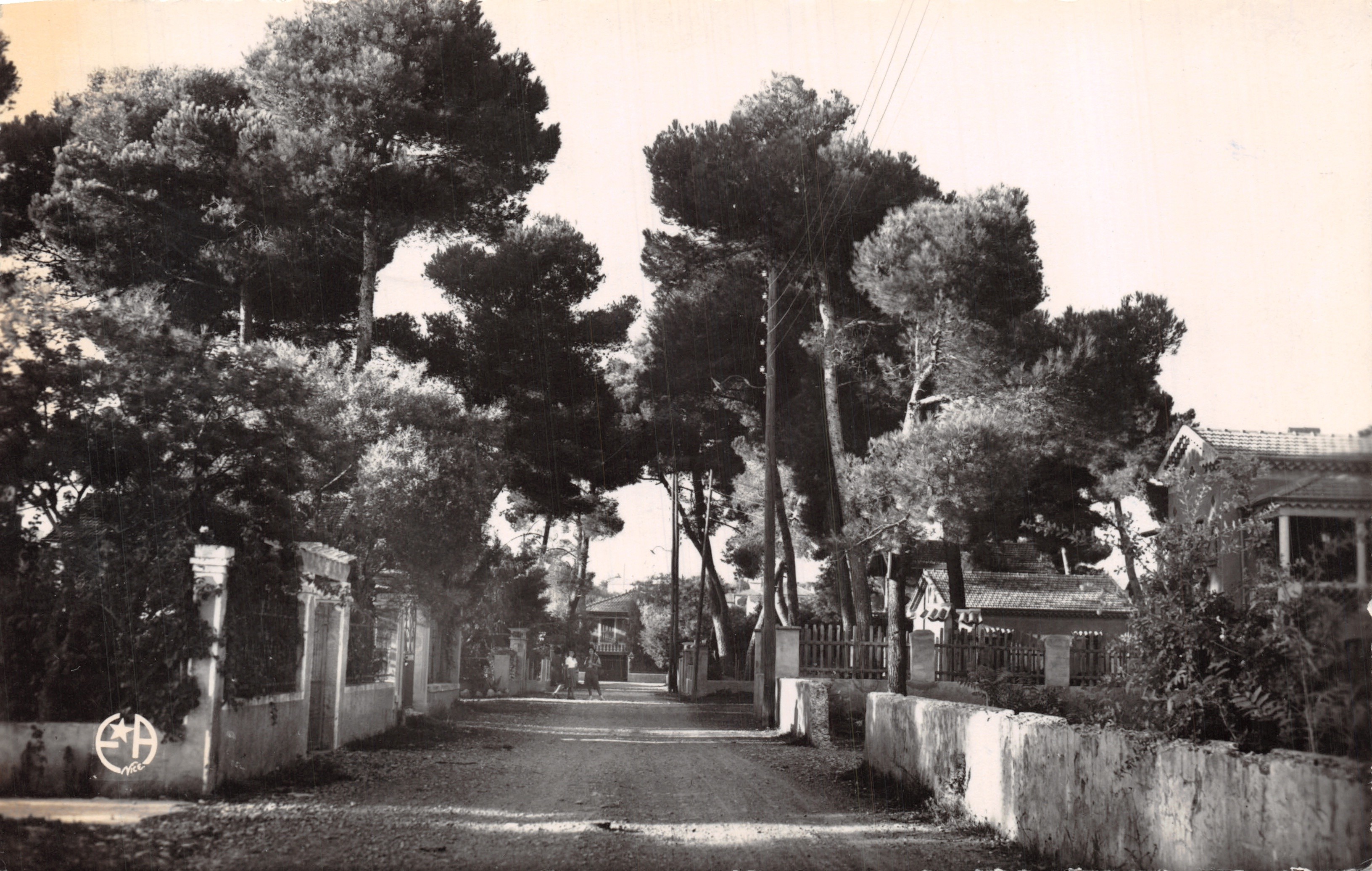 Cros-de-Cagnes — La Pinède — Édition Étoile d'Azur n°233