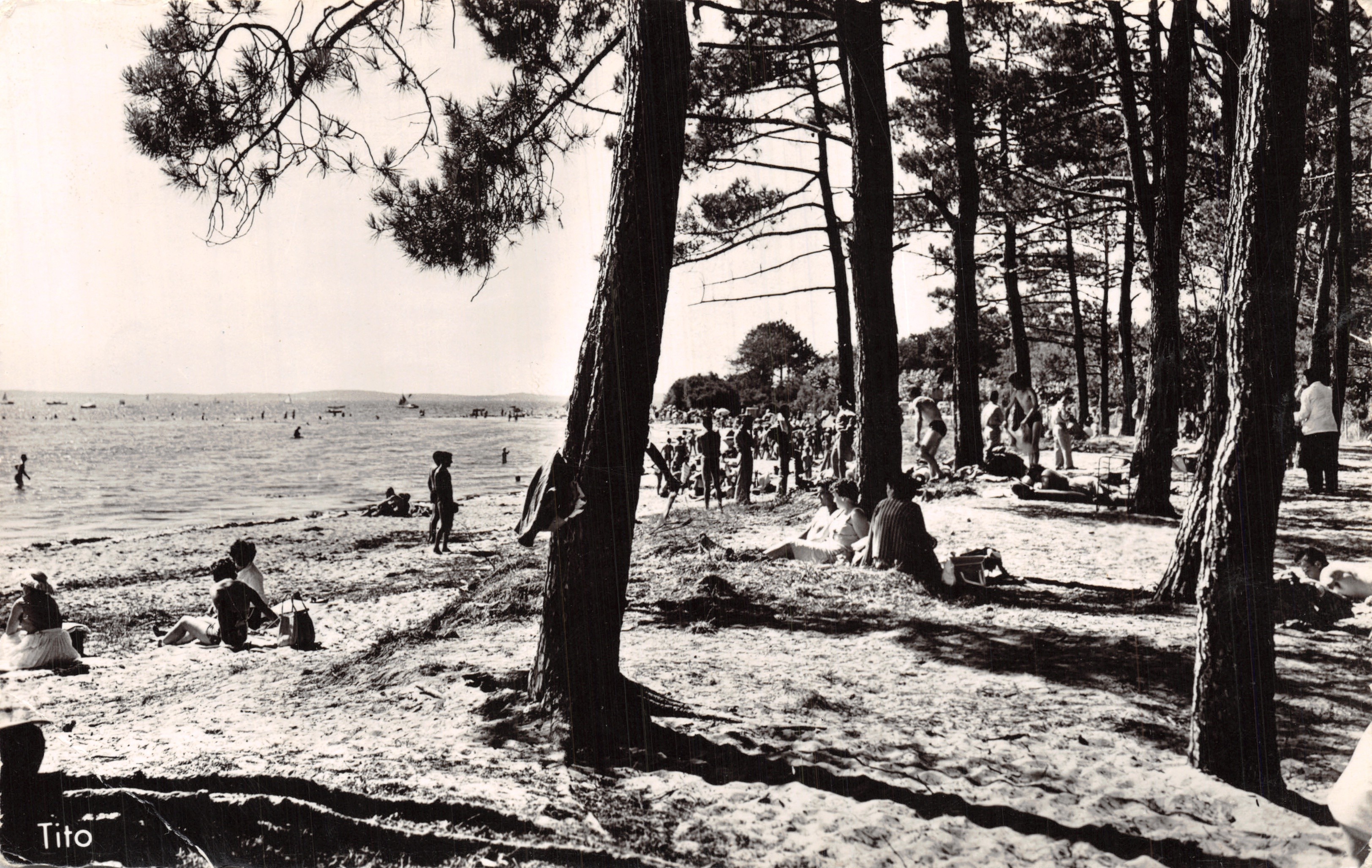 Playa de Andernos-les-Bains — vista bajo los pinos — editor Tito