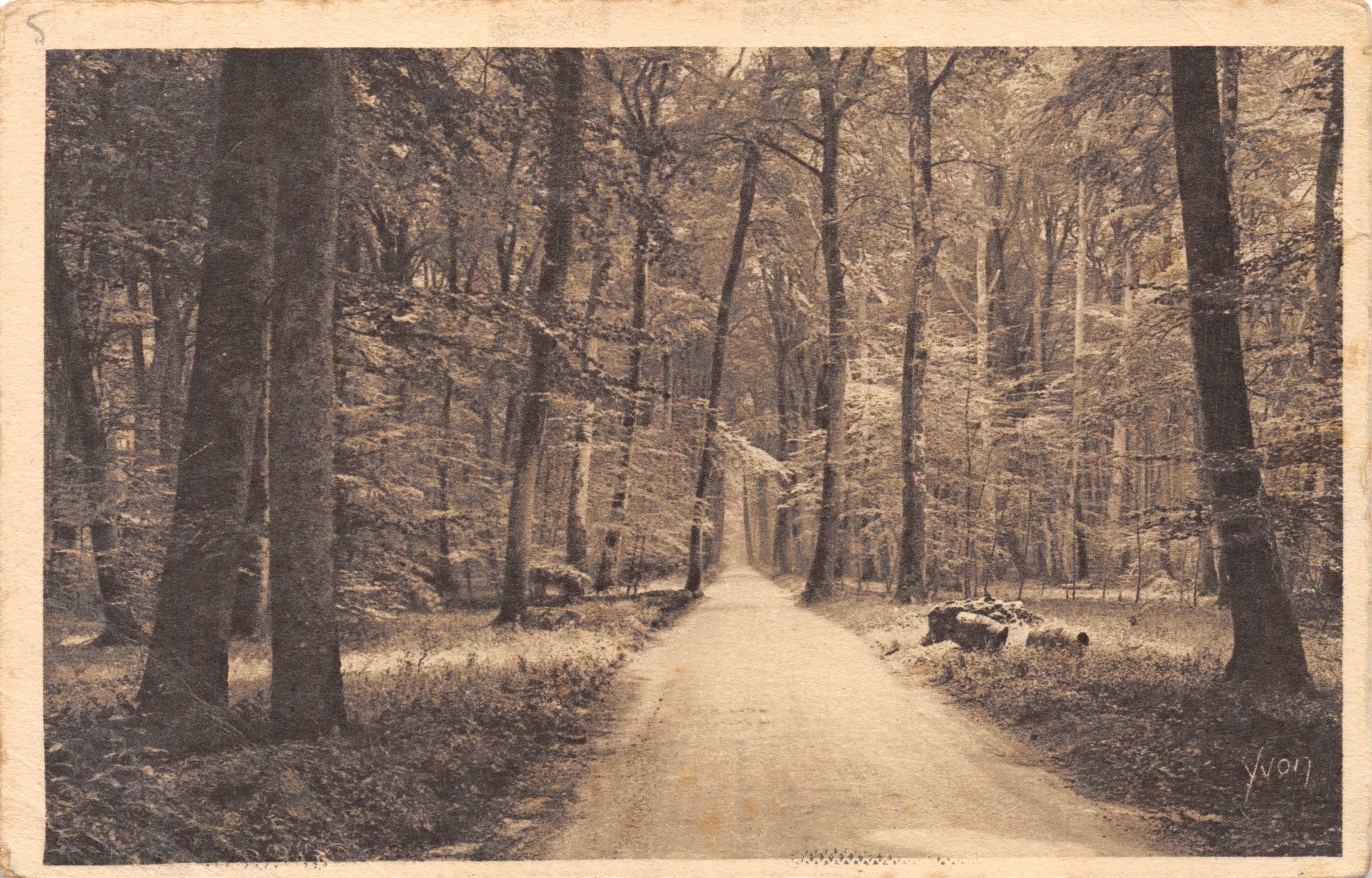 Fontainebleau — La Forêt - La Route — Éditions d'Art YVON