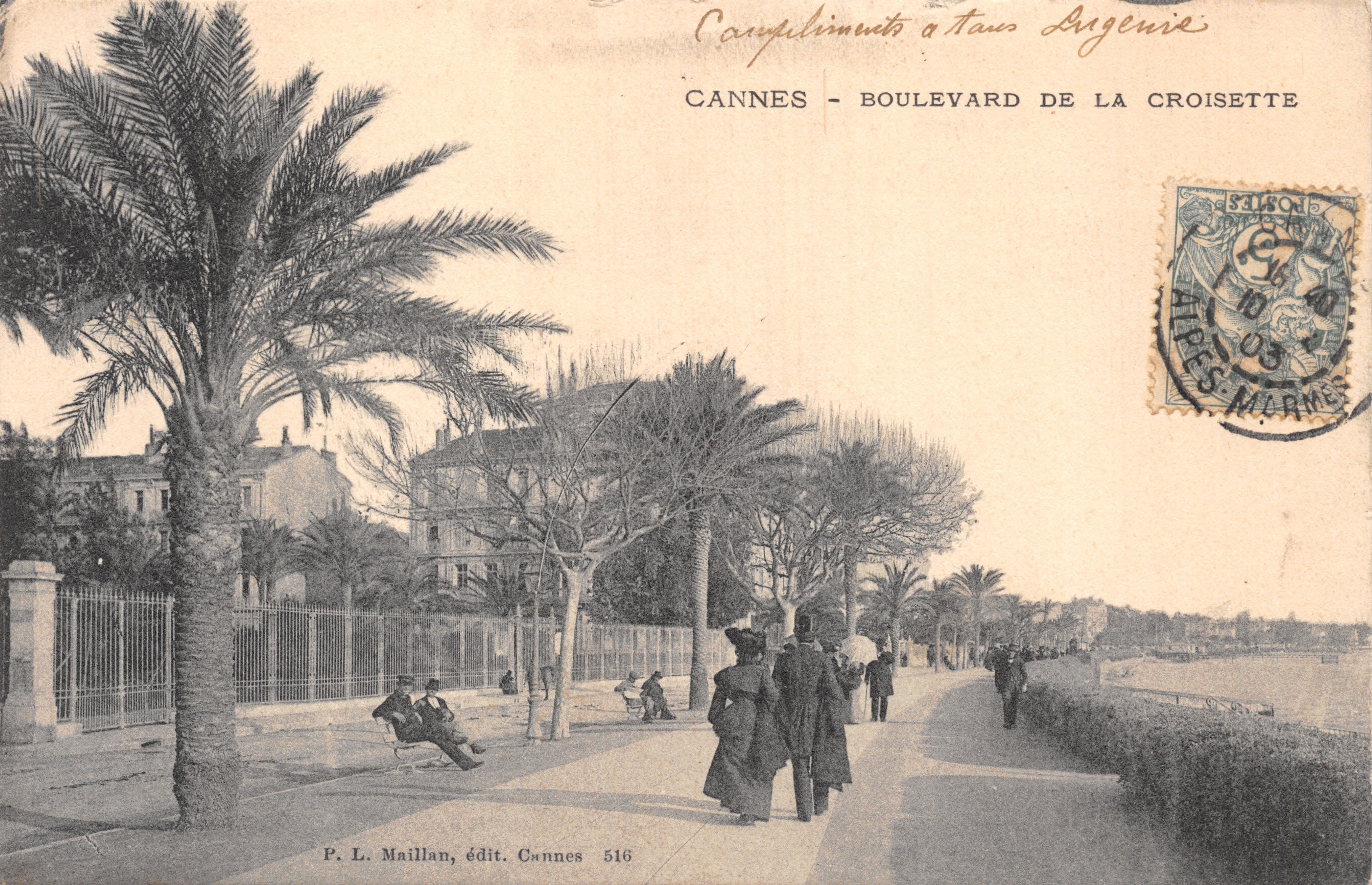 Cannes - Boulevard de la Croisette — vue du promenade bordée de palmiers, éditeur P. L. Maillan, n° 516