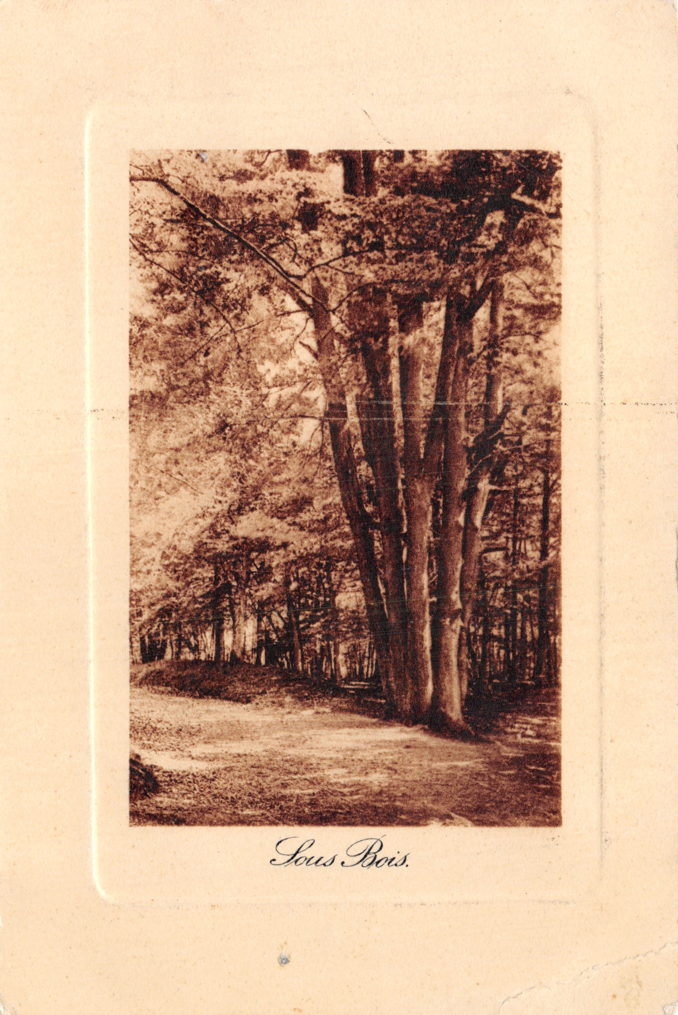 Sous Bois — landschap met bossen — uitgever Union Postale Universelle, serie 6002-2