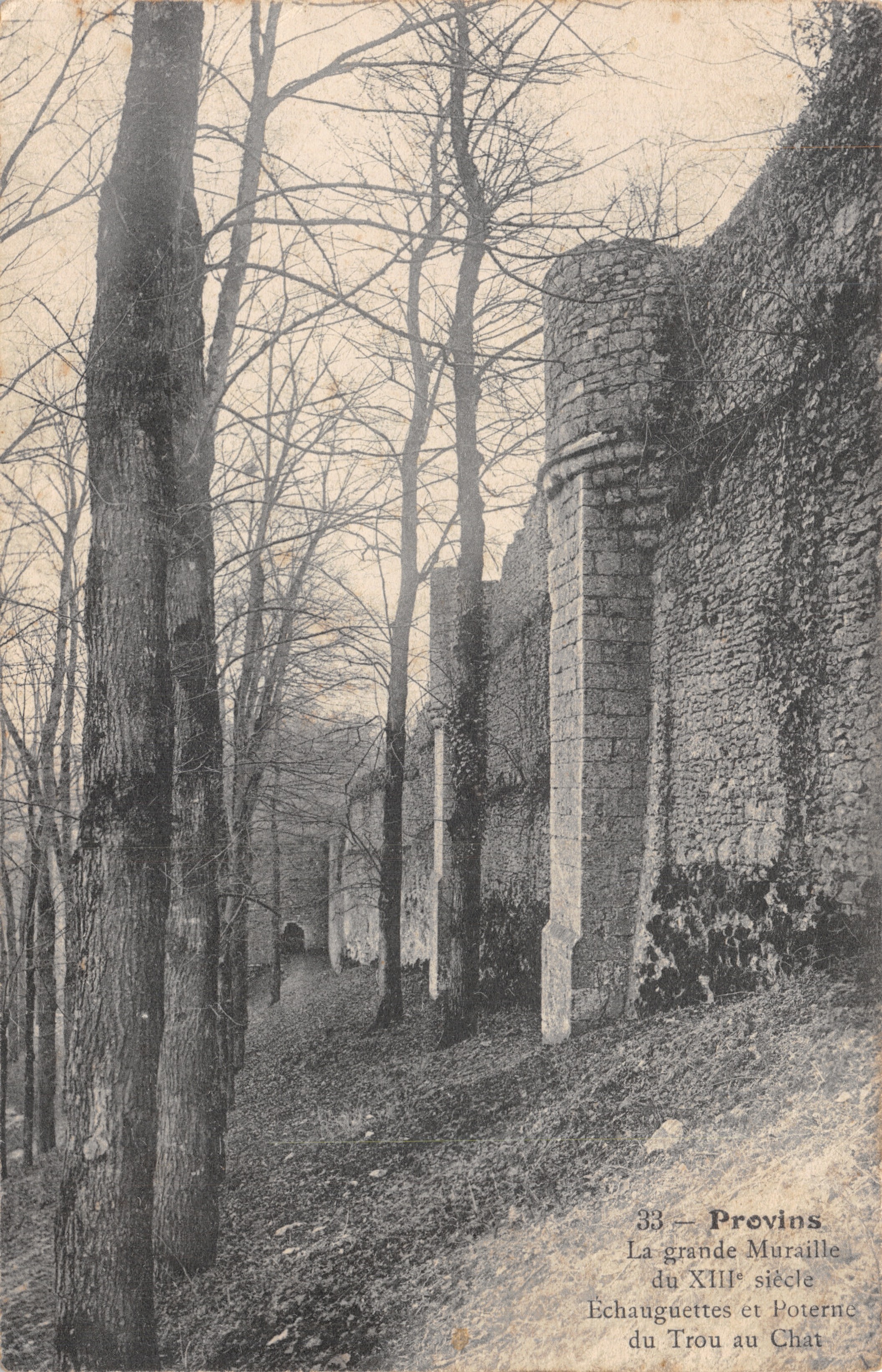 Ruine del castello di Provins — La grande muraglia del XIII secolo e la porta del Trou au Chat — Editore: 33 — Provins