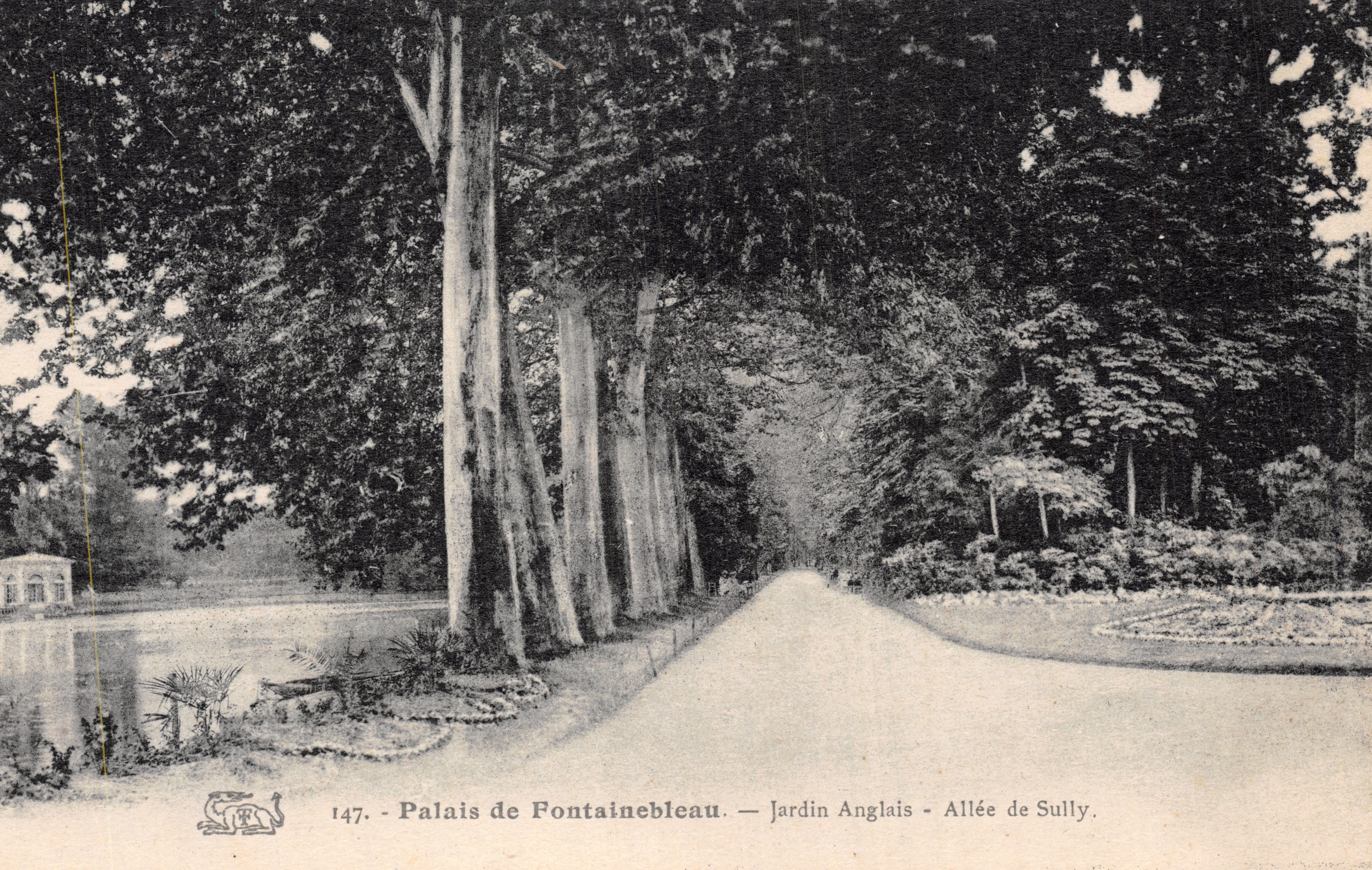 Palais de Fontainebleau — Jardin Anglais — Allée de Sully — éditeur impr. sur carte n°147