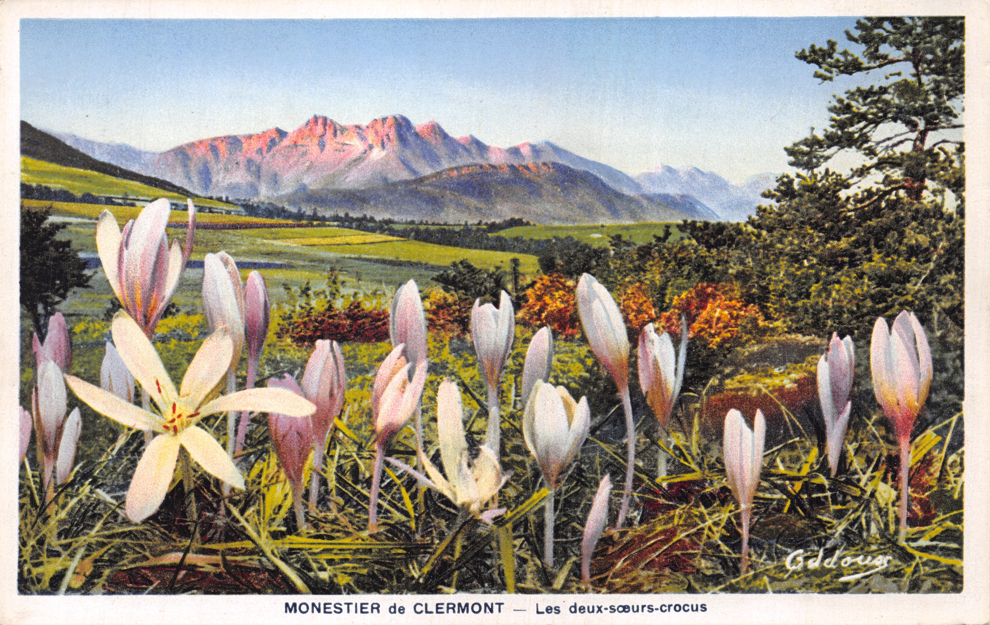 Monestier de Clermont — Las dos hermanas-crocus — editor Gddouxs