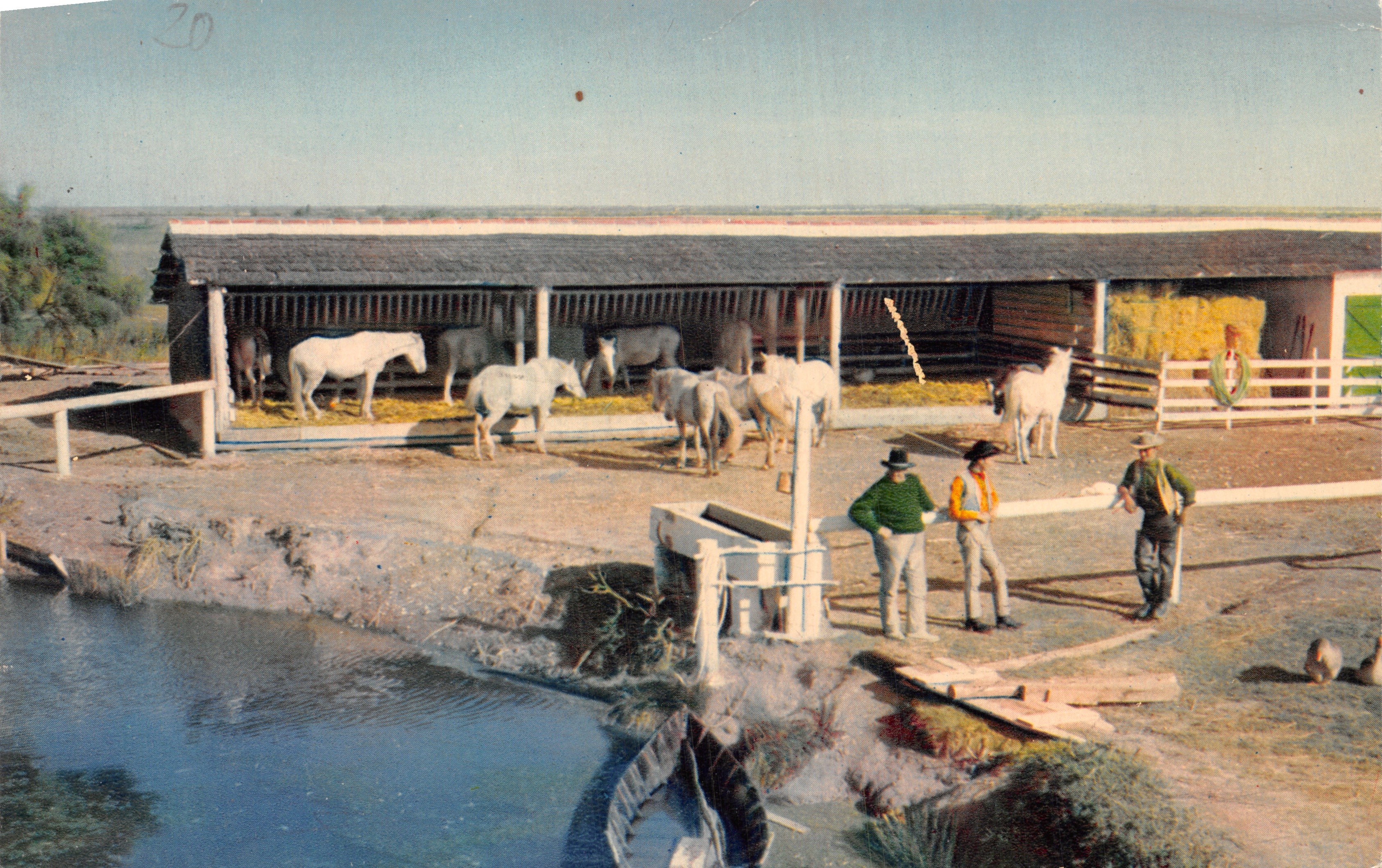 Établissements G. Gandini — Éléphant des Capucins, Camargue — Éditeur : Établissements G. Gandini, Marseille