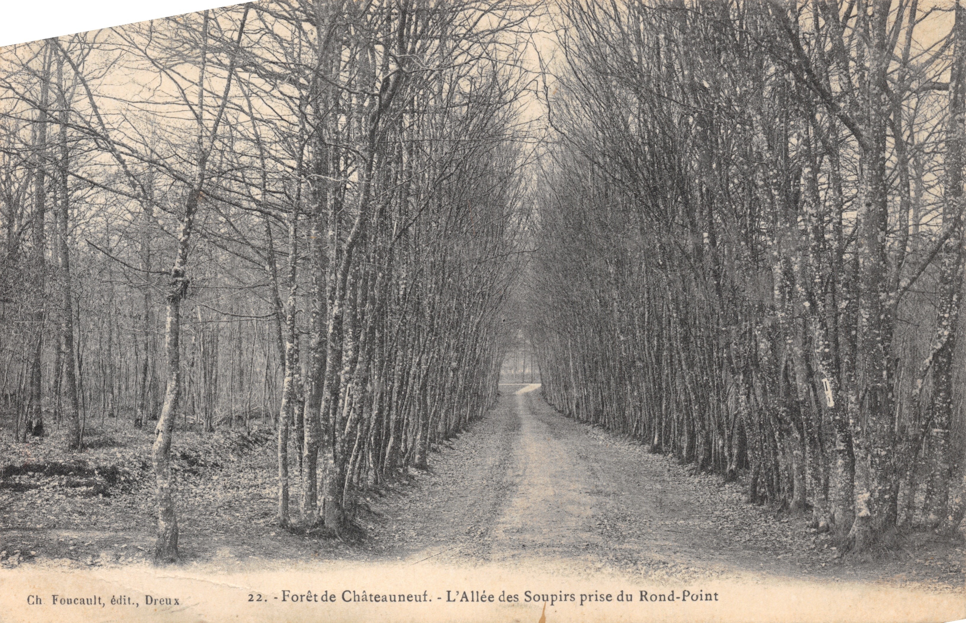 Bosque de Châteauneuf — La Avenida de los Suspiros vista desde el Rond-Point — Ch Foncalt, editor, Dreux, n.º 22