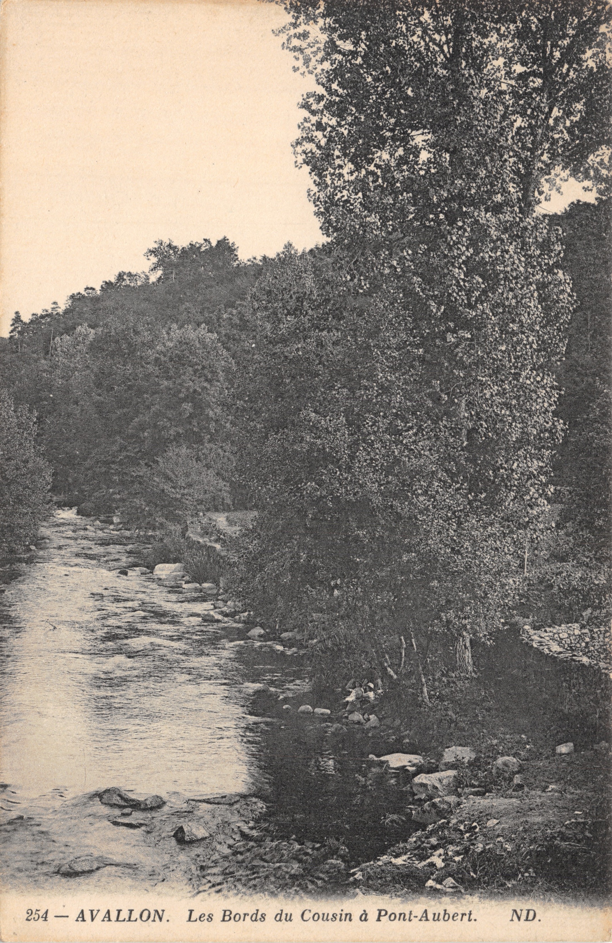 The Banks of the Cousin at Pont-Aubert — view of the watercourse bordered by trees — publisher ND. No. 254