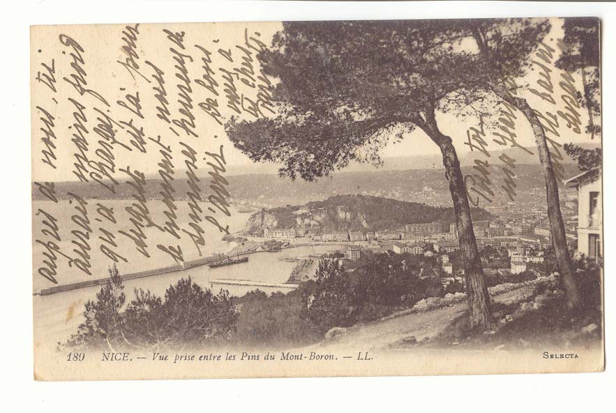 Nice CPA Vue prise entre les pins du Mont boron