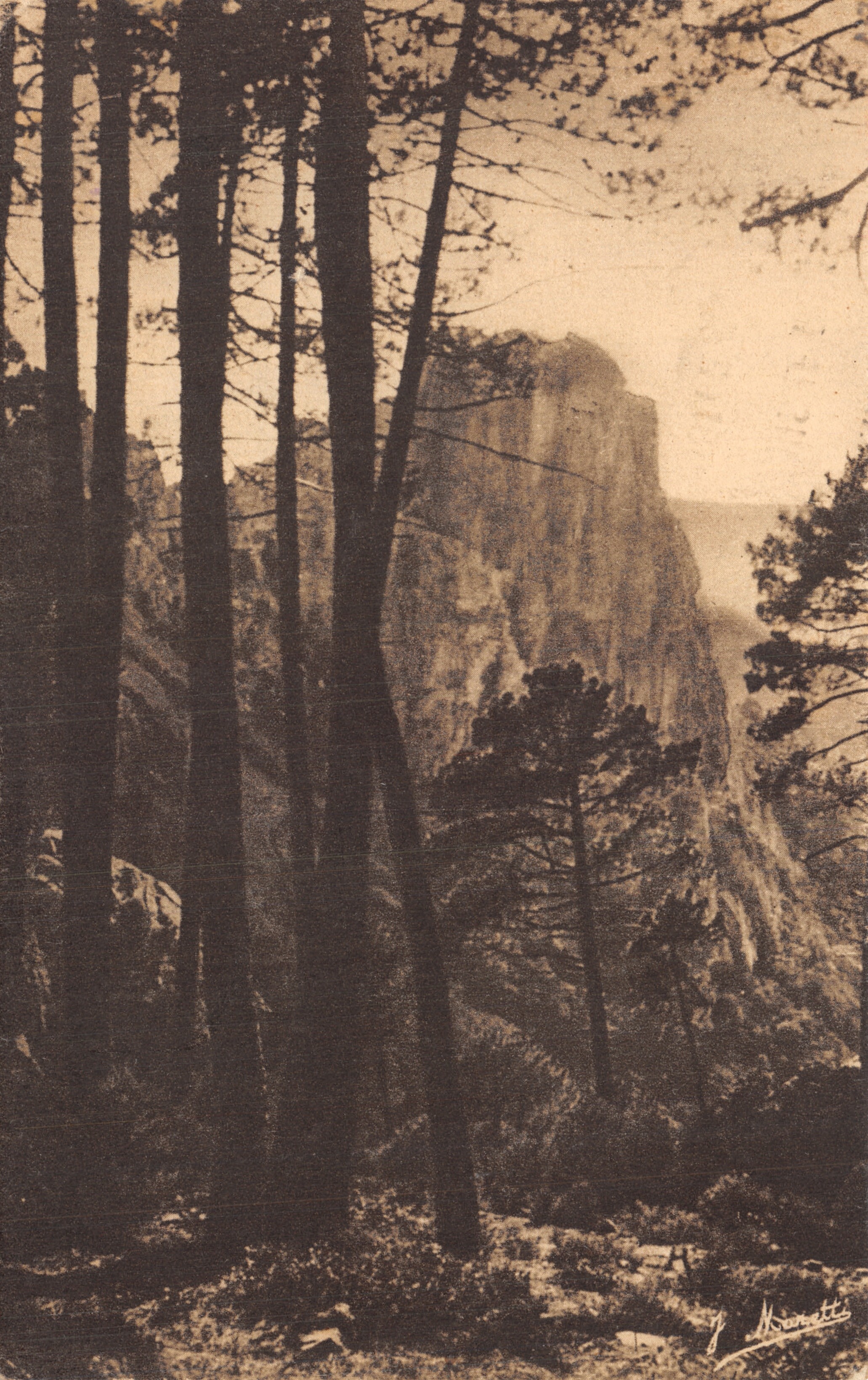 Les Pins — Calanches de Piana (Corse) — Éditeur J. Moretti