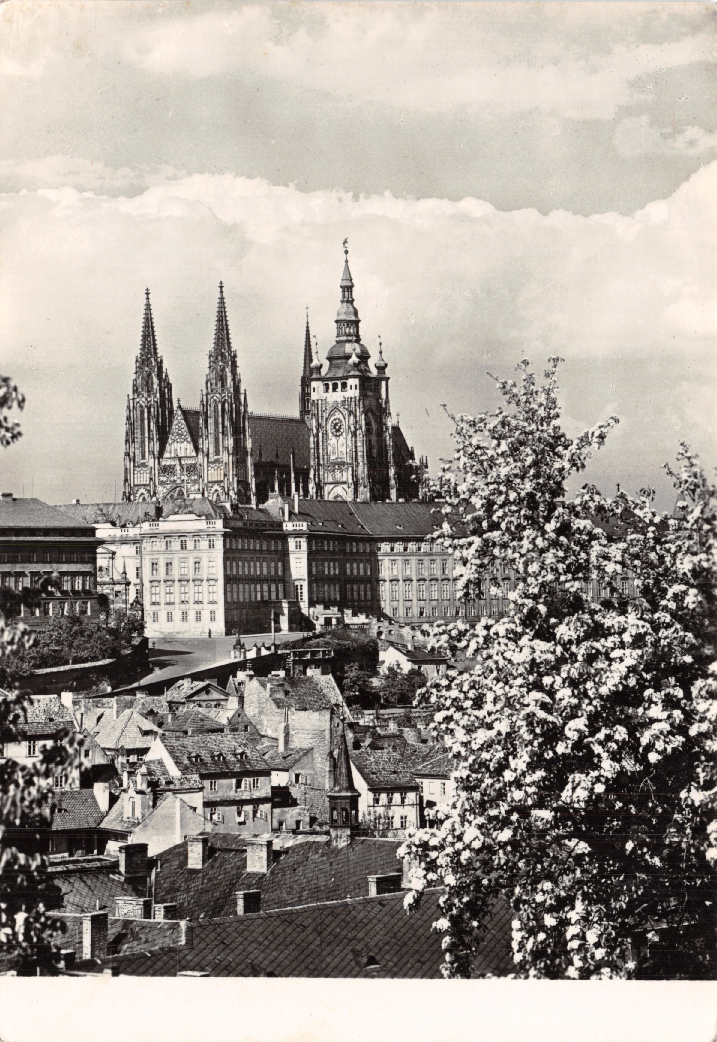 Prague - Hradčany — Cathédrale Saint-Vitus — éditeur NAKLADATELSTVÍ ORBIS, n° 3-2308