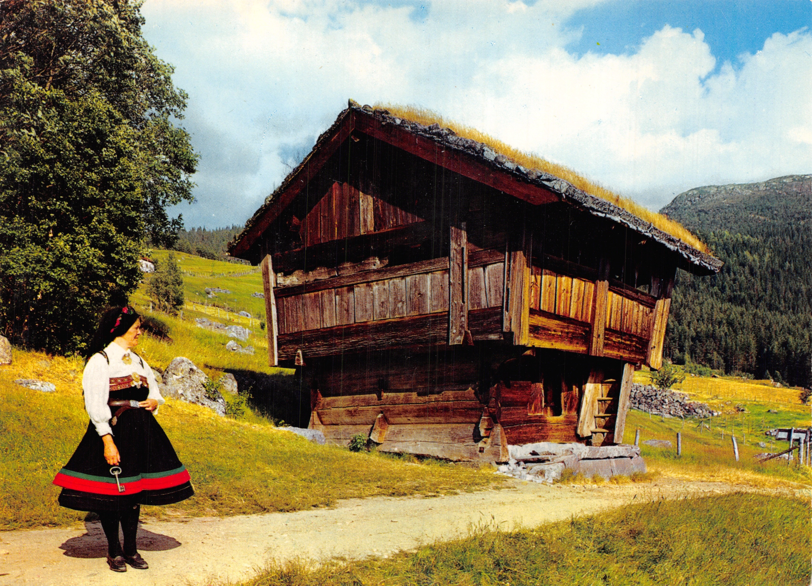 Femme en costume national près d'un entrepôt sur pilotis à Setesdal — Éditeur : Aune Kunstforlag AS, n° F-3806-8