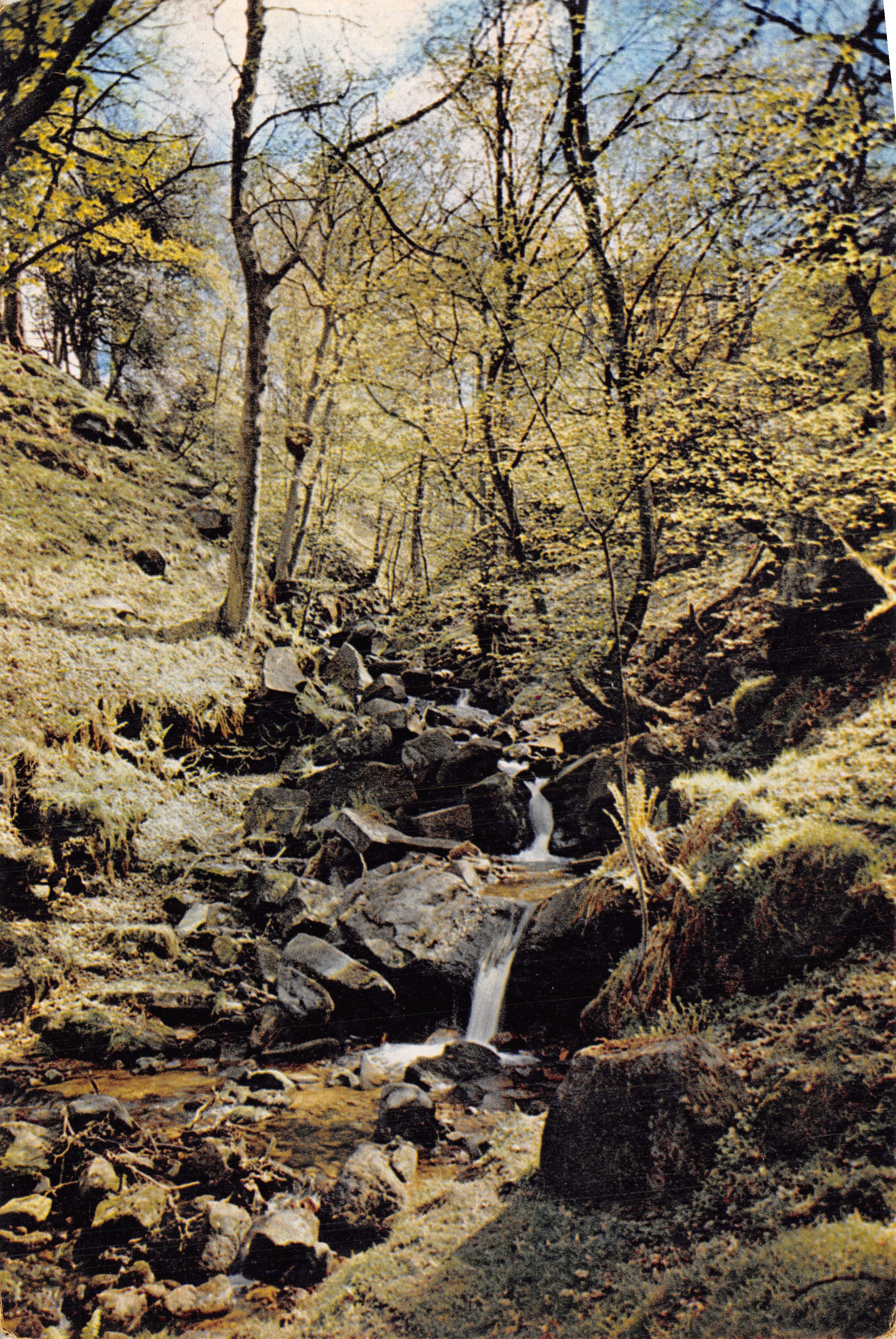 Heber's Ghyll — ravine arborisé avec cascades — J. Arthur Dixon