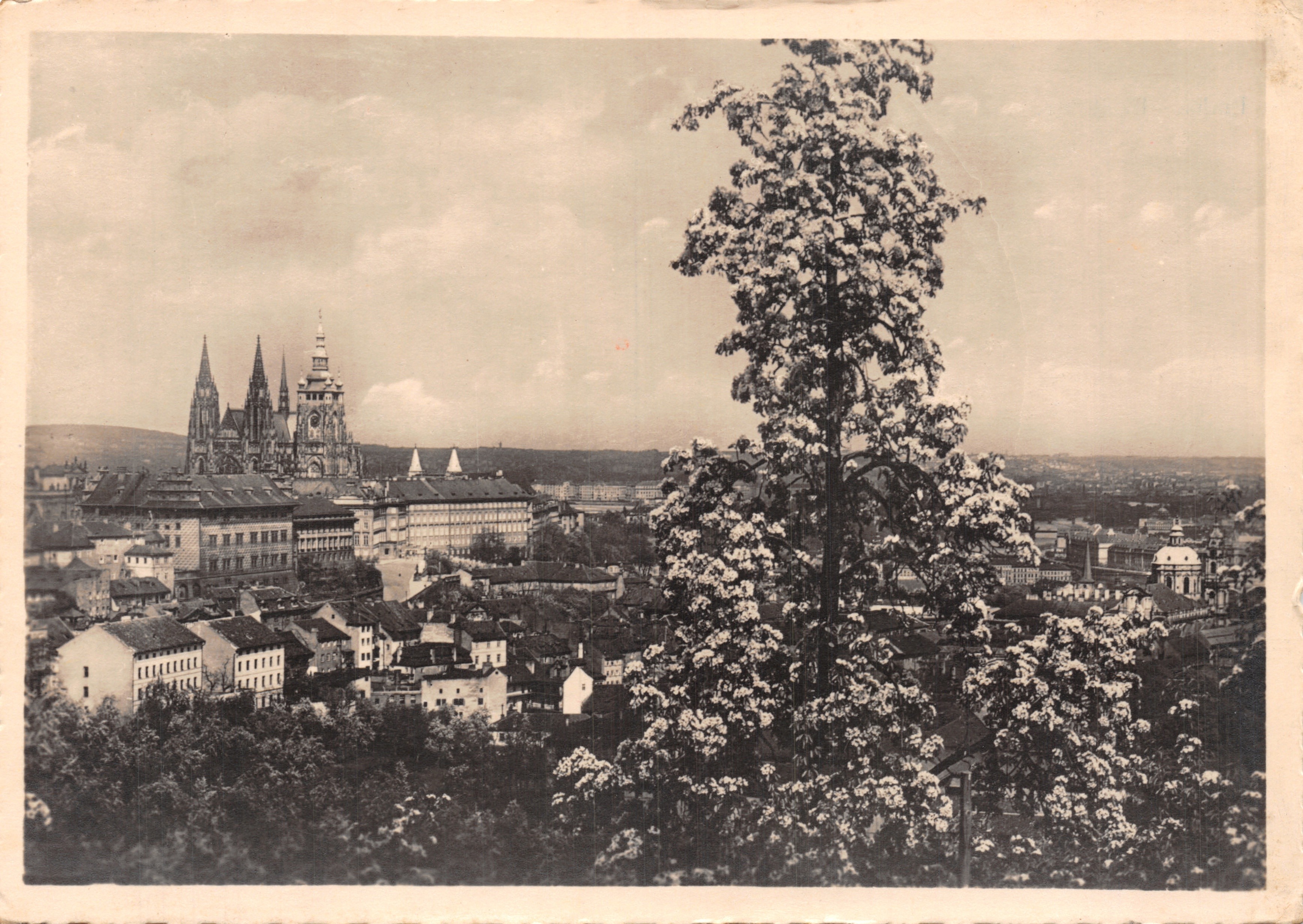 Vue de Prague — Cathédrale Saint-Vitus et palais royal — éditeur FOTO J. ŠVLC, n° 1015