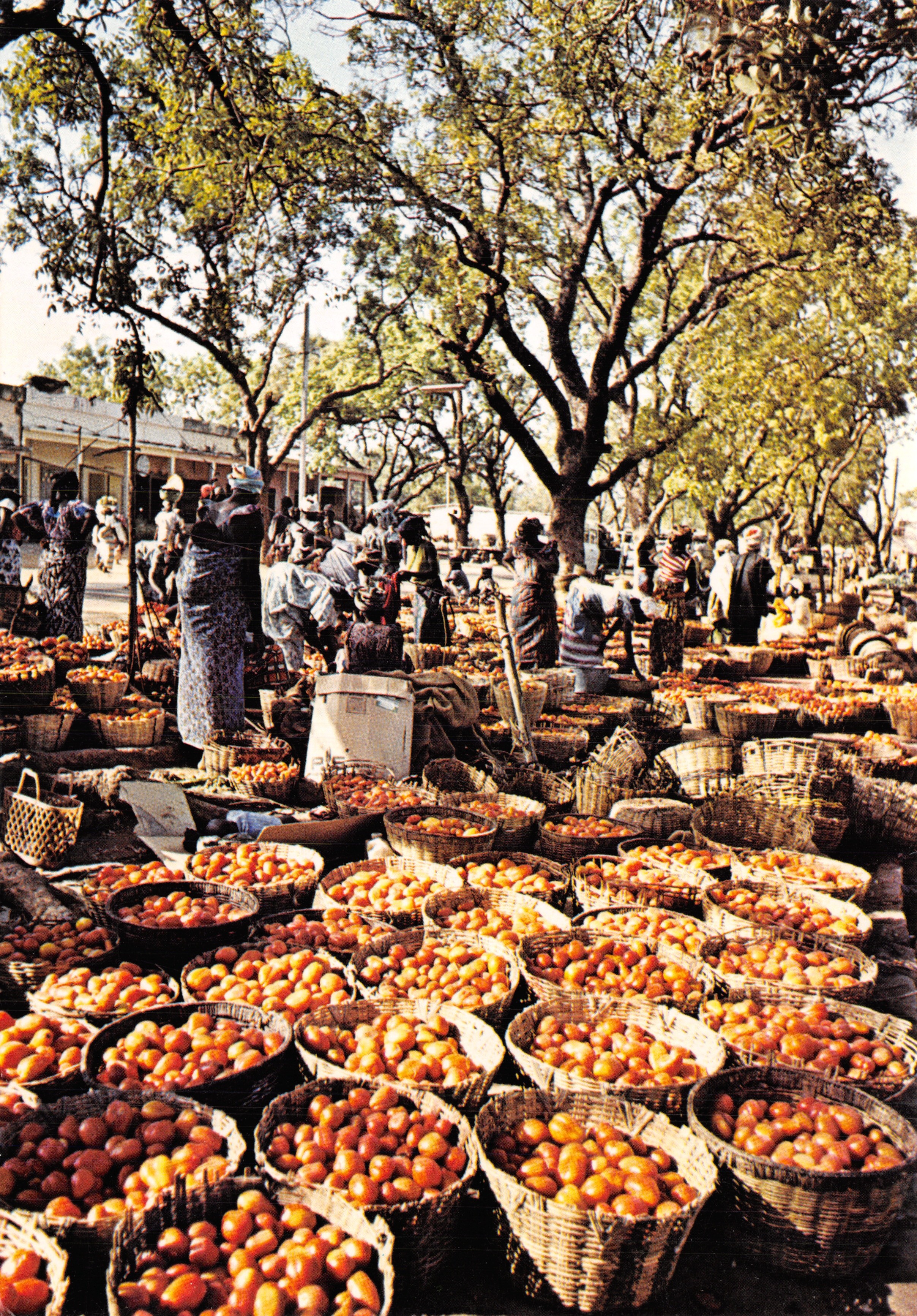 Bobo-Dioulasso — marché aux tomates — Imprimerie PIERRON