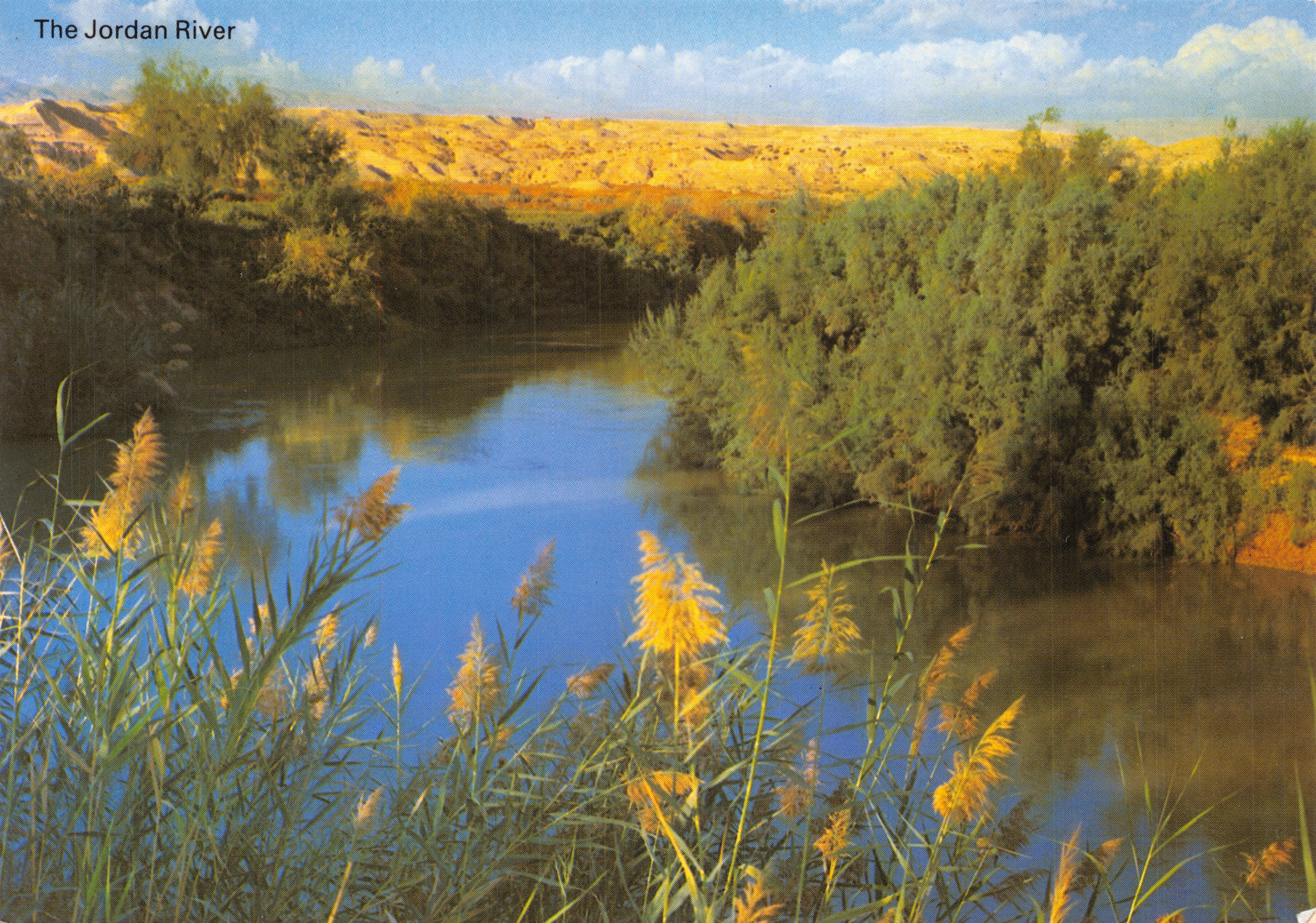Le Jourdain — vue du fleuve avec roseaux — imprimé par PALPHOT, n° 4313