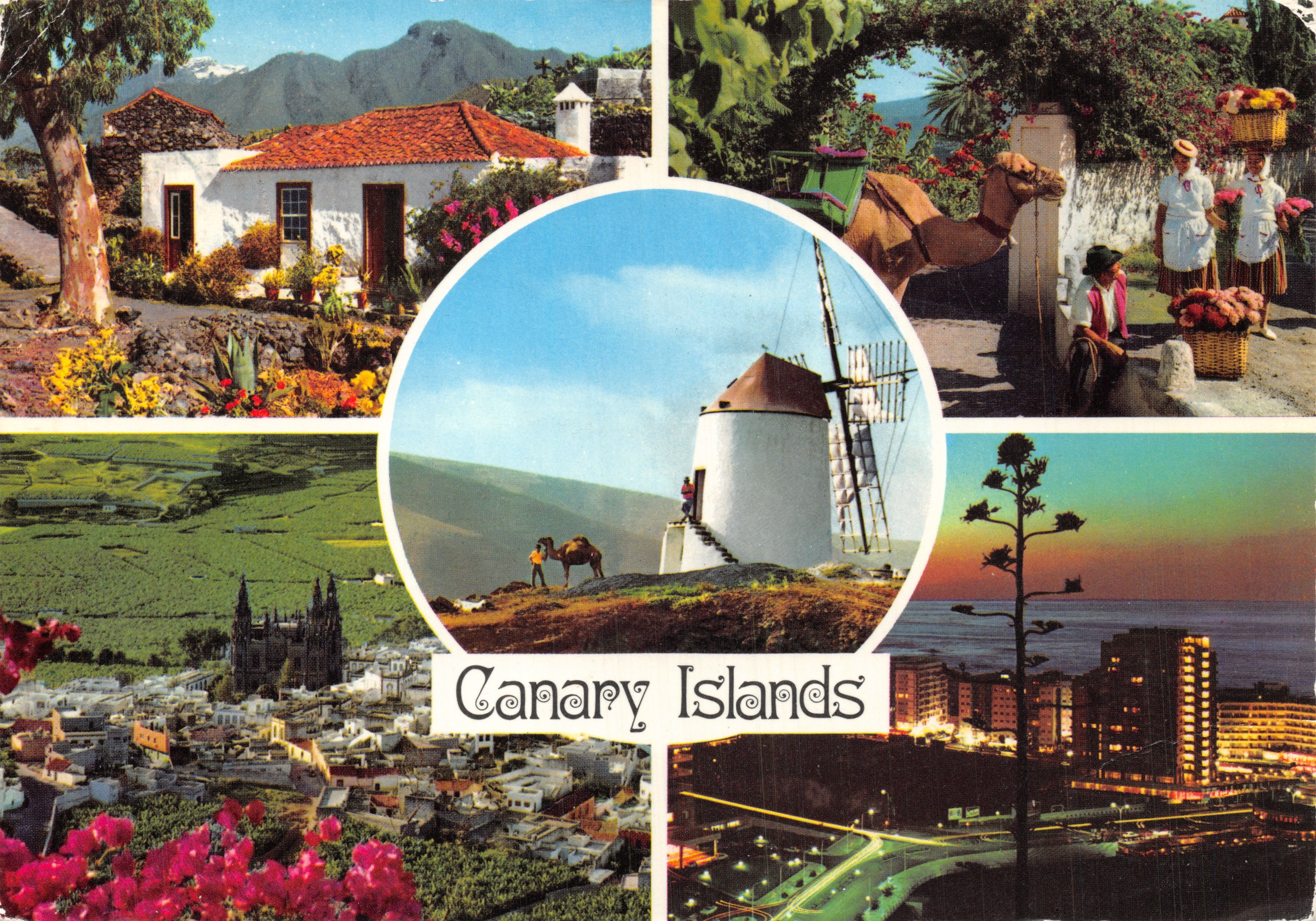 Canary Islands — vue panoramique avec maison, moulin, dromadaire et ville — éditeur John Hinde, Dublin