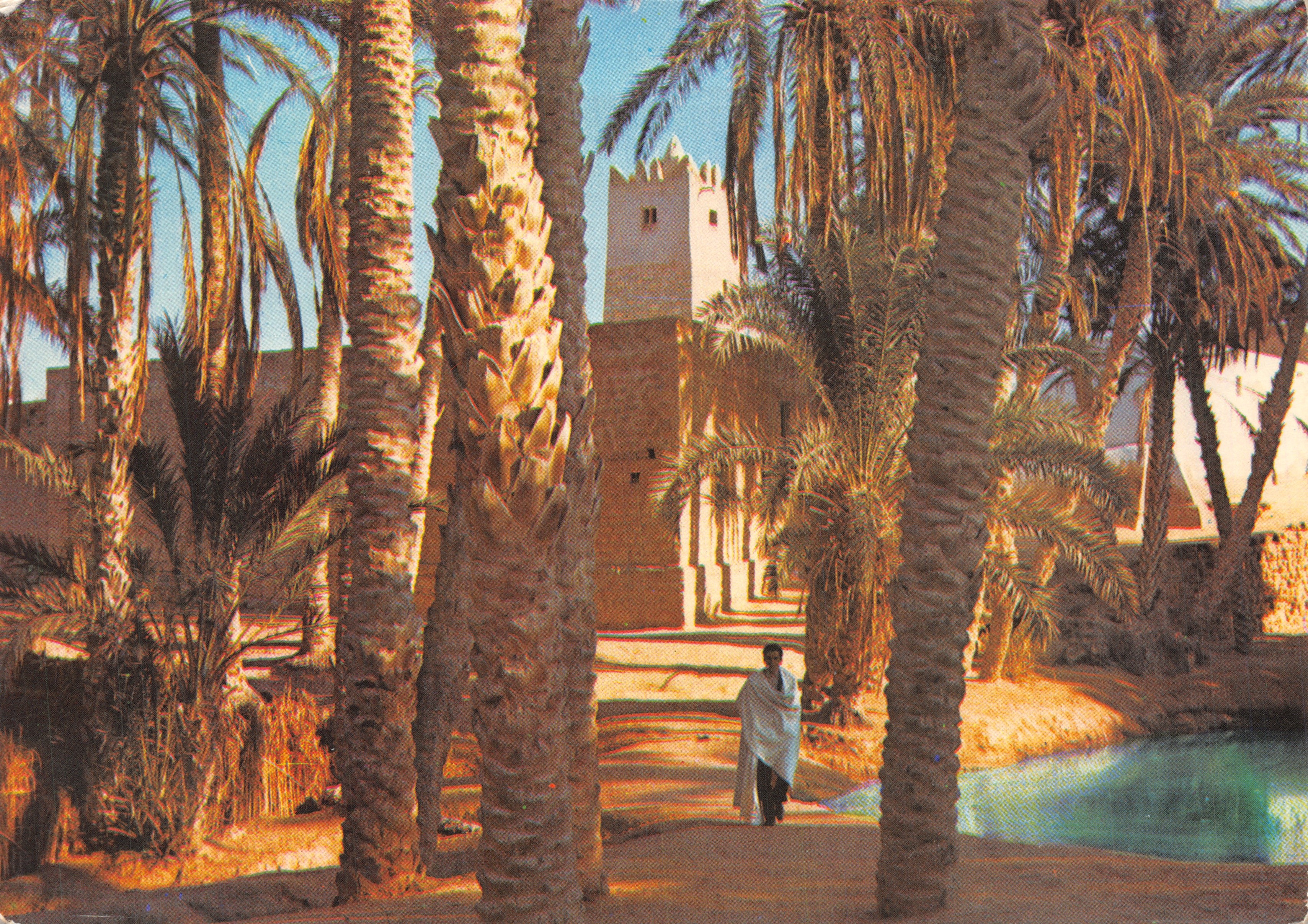 Oasis du Sud Tunisien — vue d'un jardin avec palmeraie et minaret — éditeur Couleurs naturelles