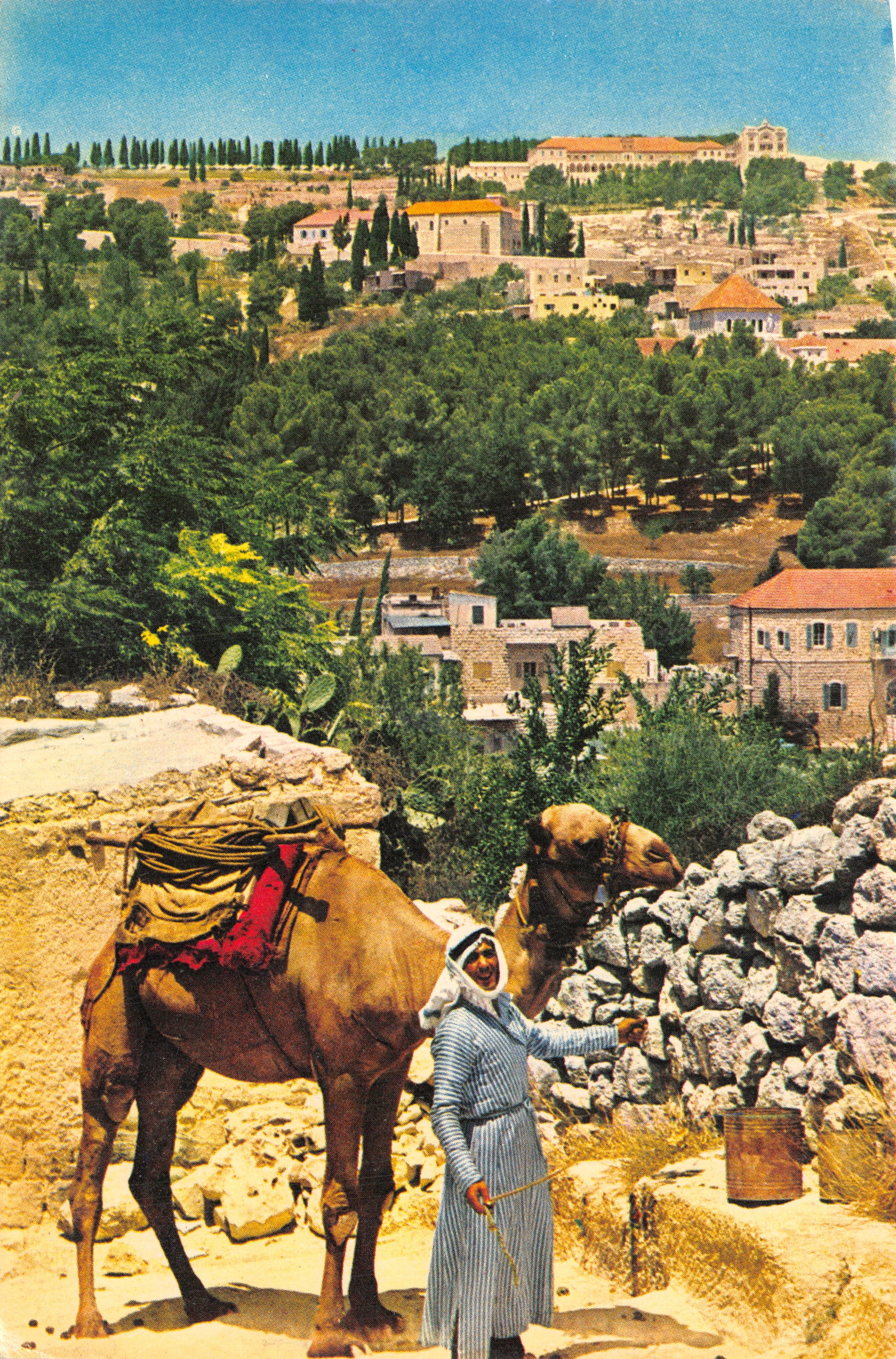 Vue partielle de Nazareth — berger avec chameau — éditeur 'Israël' n°507