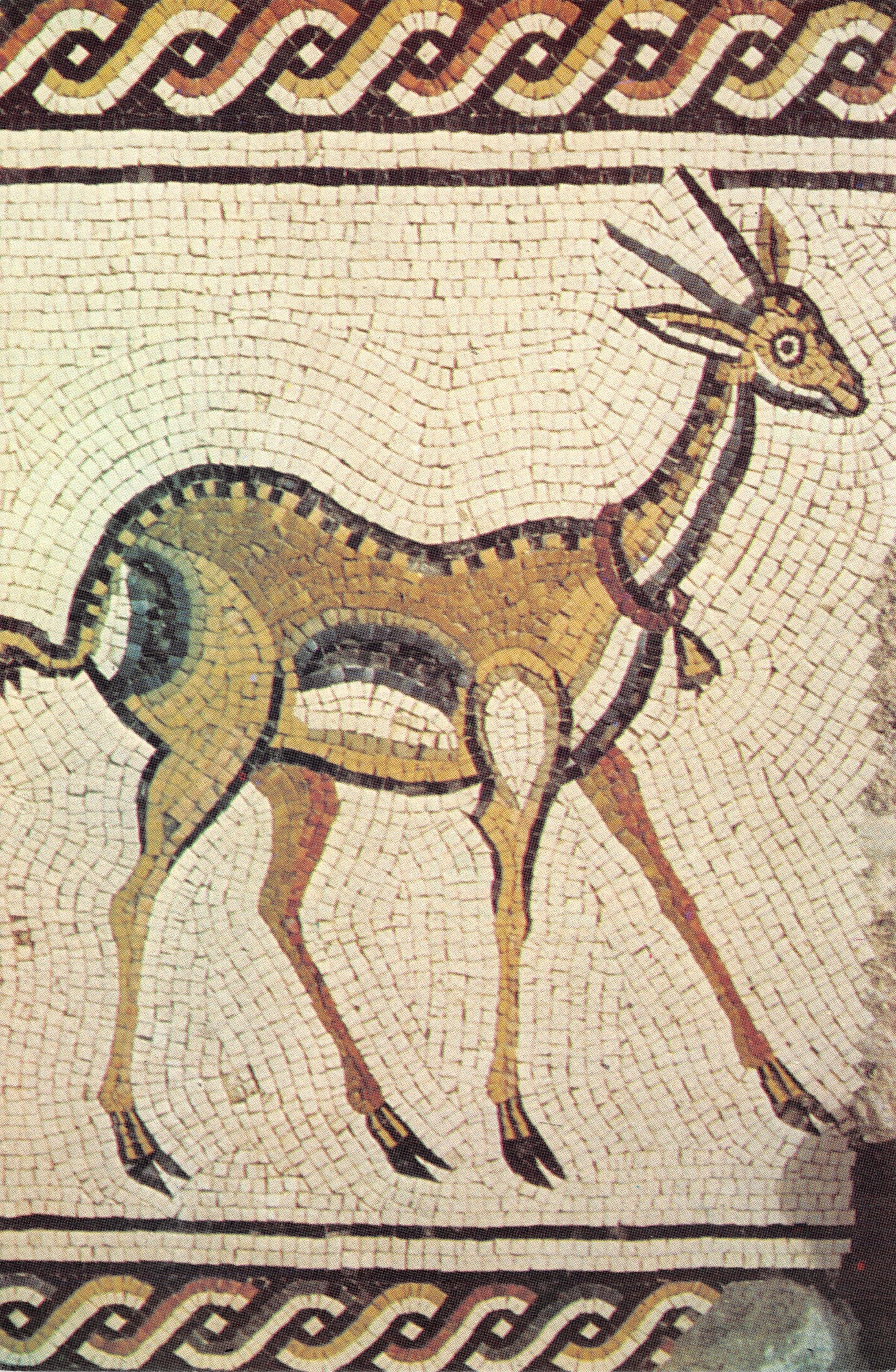 Gazelle — Mosaïque de la chapelle de Théotocos — Éditeur : Ed. Franciscan Printing Press Milano