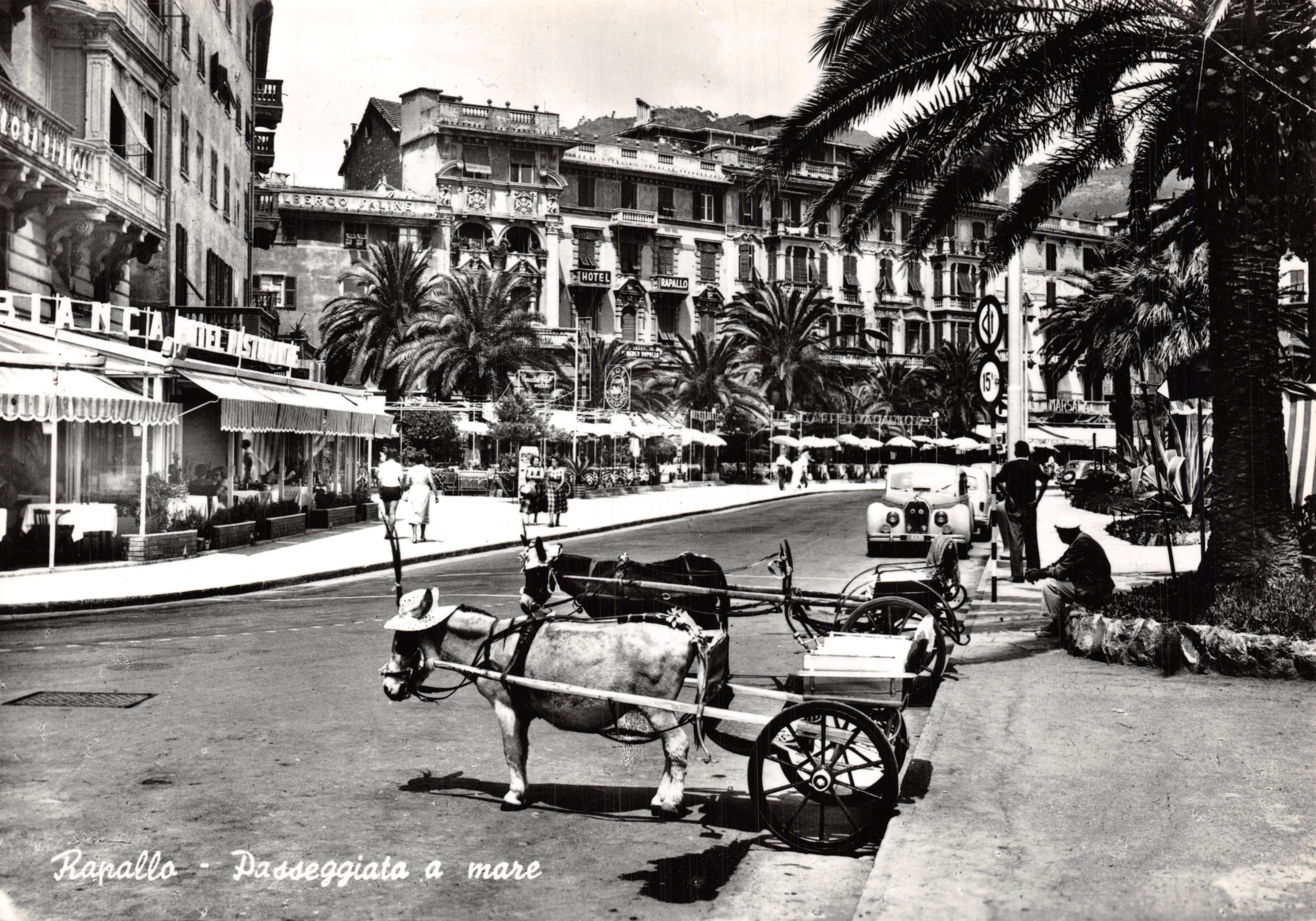Rapallo — Promenade à la mer — Hotel Rapallo et restaurant Rancia, éditeur BROMOSTAMPA-MILANO n°2261