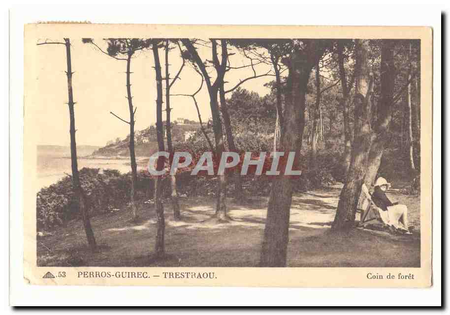 Perros-Guirec — Trestraou — Coin de forêt