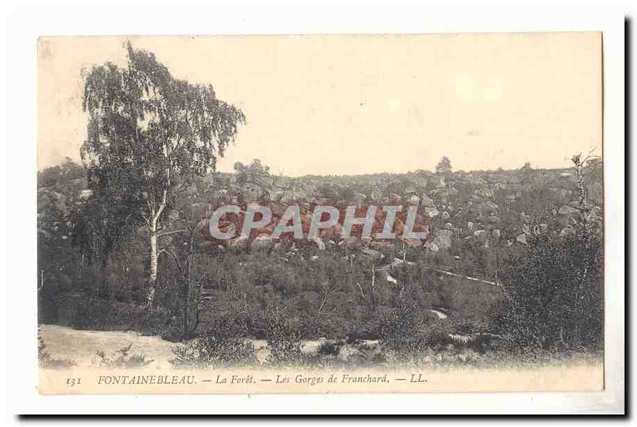 Fontainebleau — La Foresta — Le Gorges de Franchard — LL.